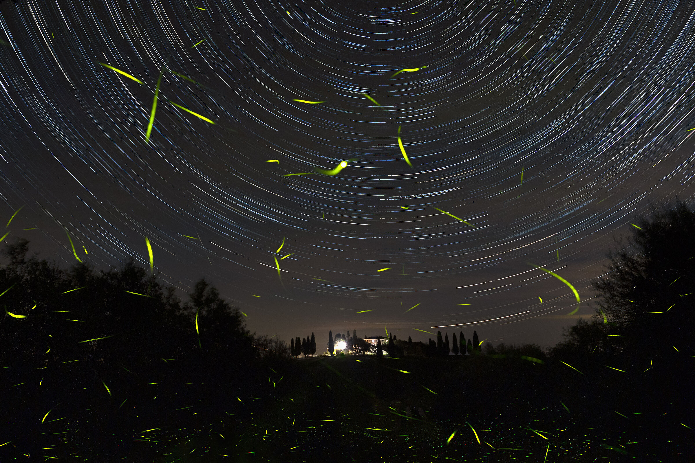 Fireflies and stars...