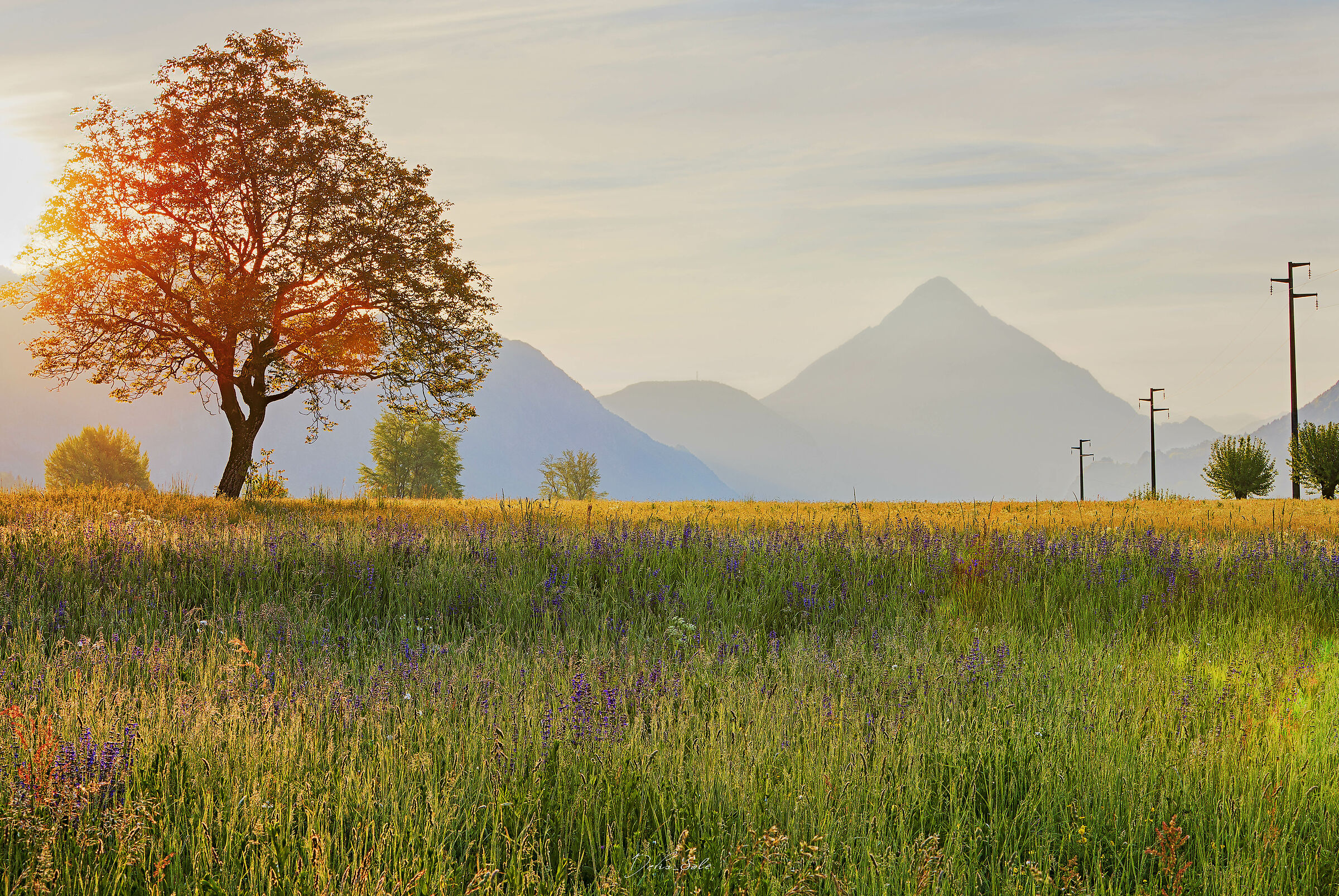 Sunrise in the countryside...