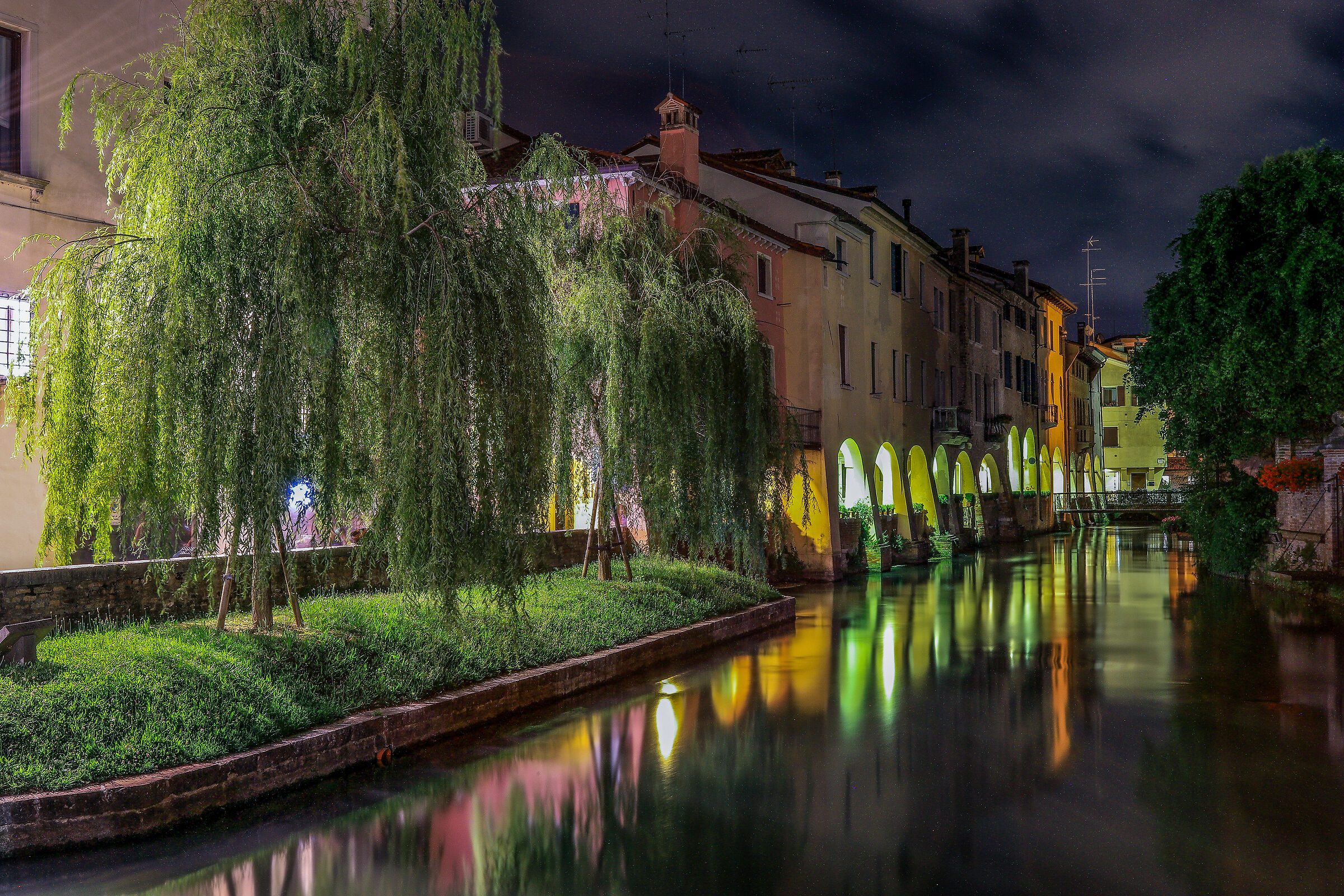 Treviso...