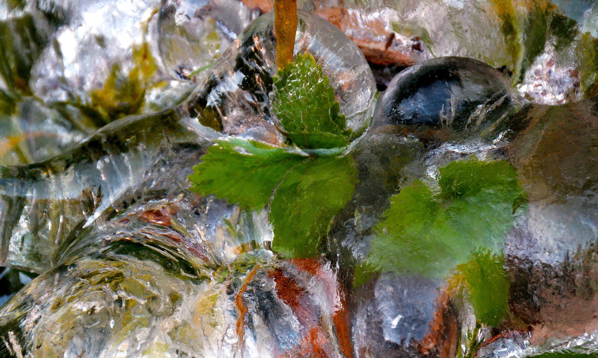 Abstract Ice 1...