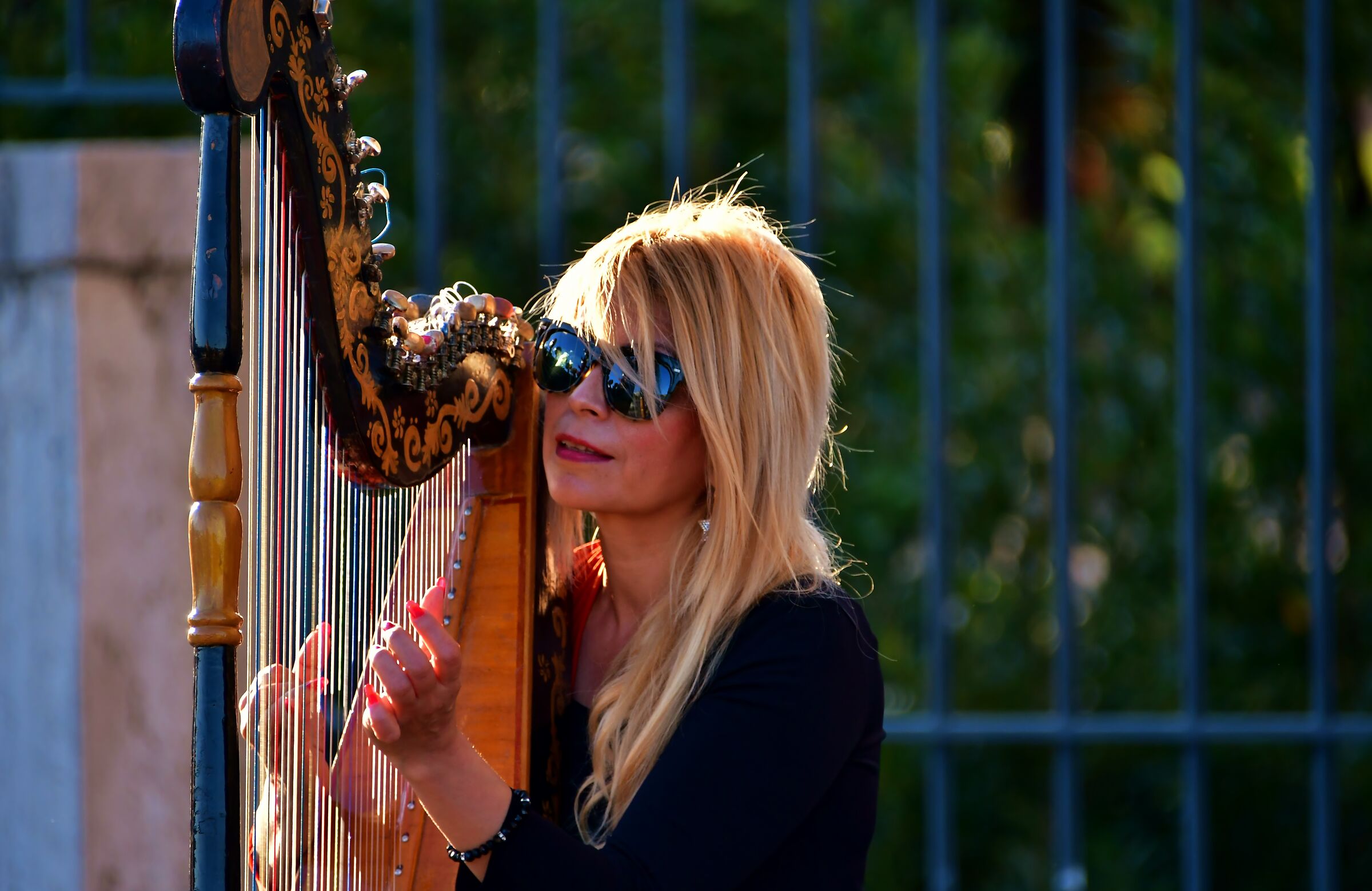 The sweet sound of the Harp...