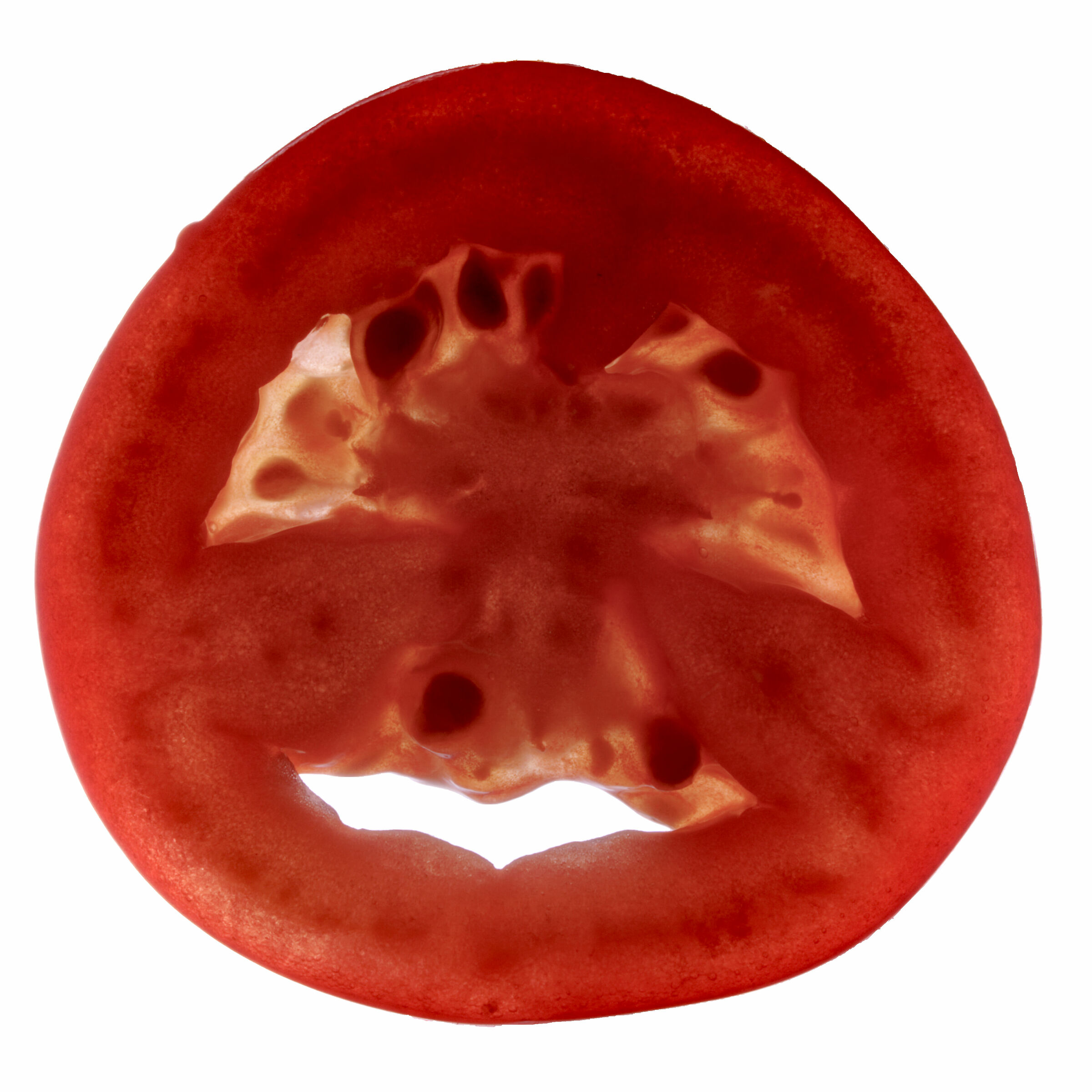 tomato in transparency...