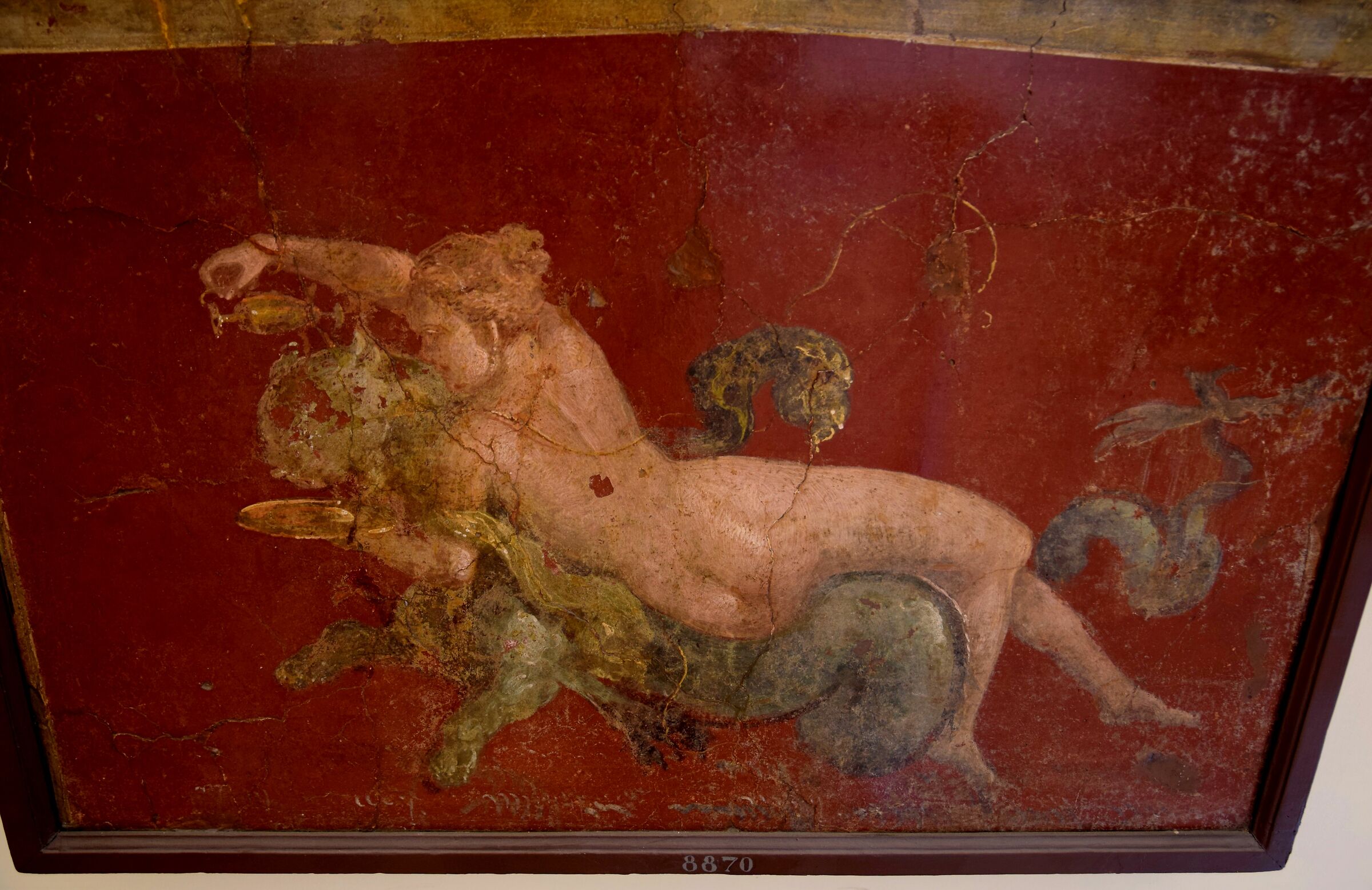 Museo Archeologico - Pompei "Nereide su Pantera marina"...