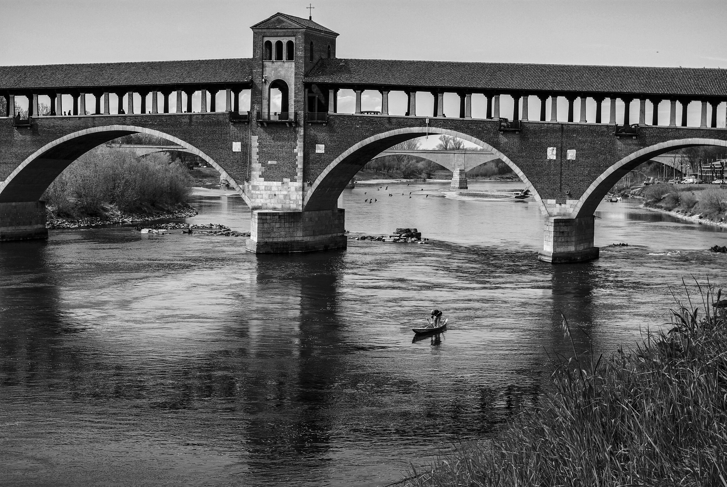 Pavia covered bridge...
