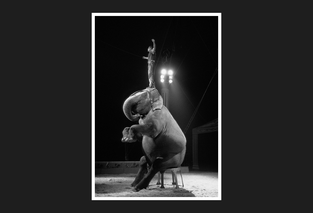 circus roma, 2007...