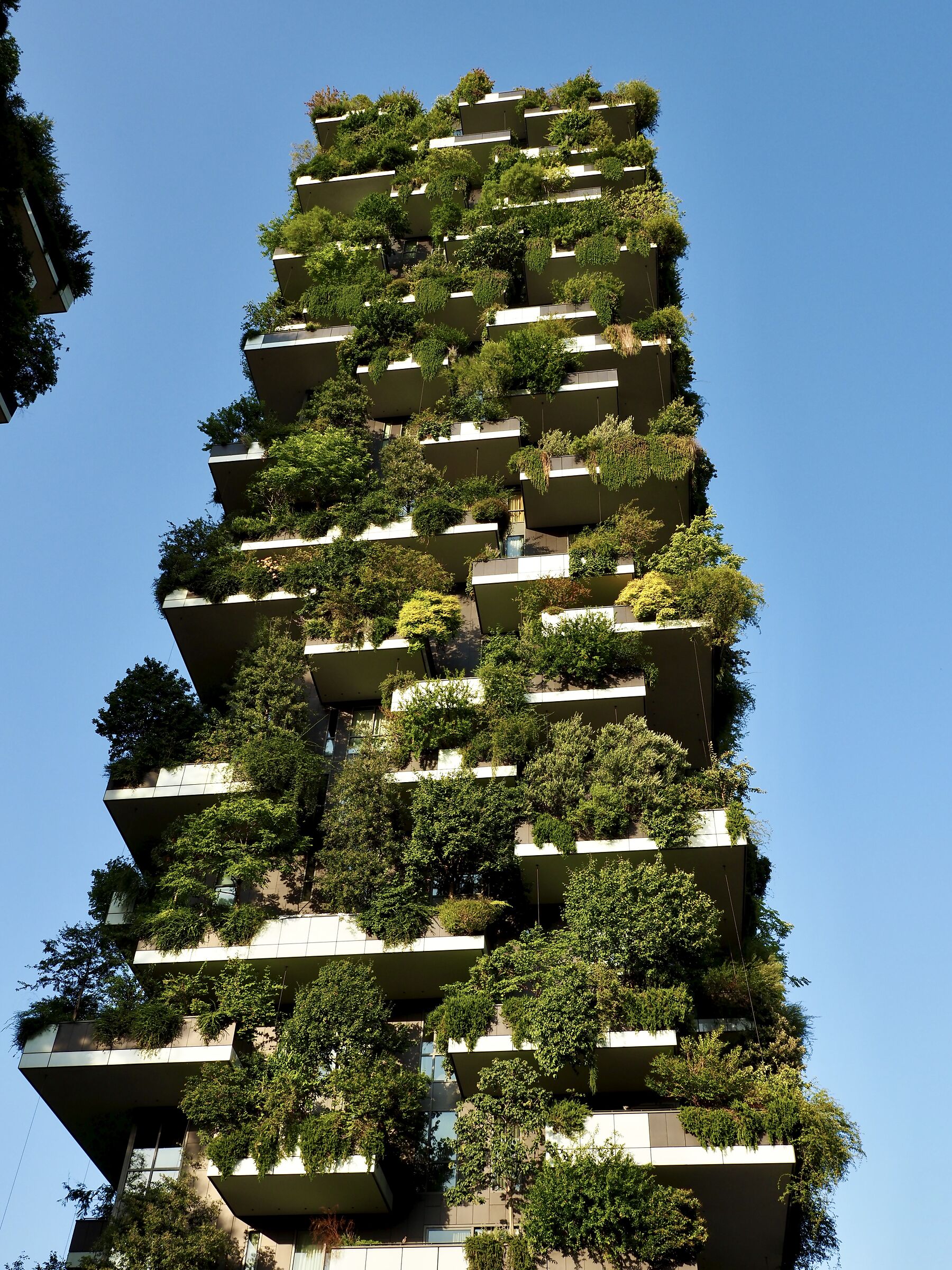 The beauty of the Vertical Forest ...