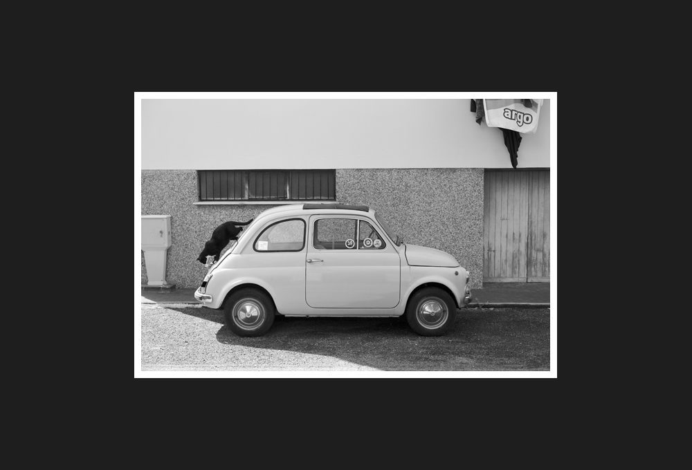 felix and the fiat 500, 2014...