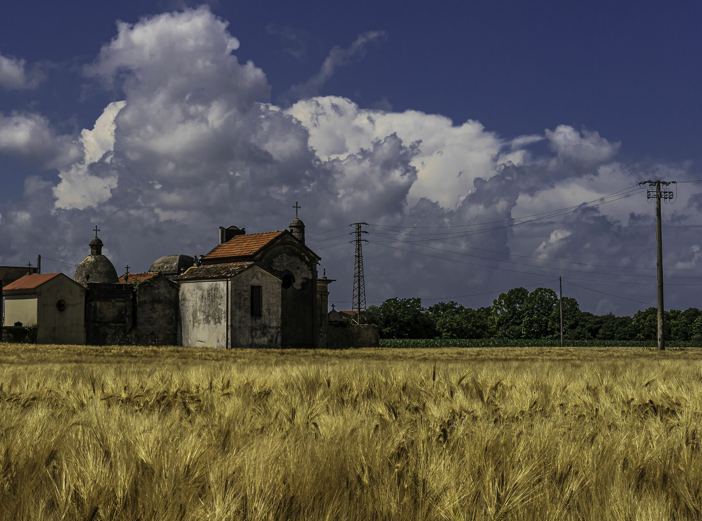 characteristic field of small village Mantua...