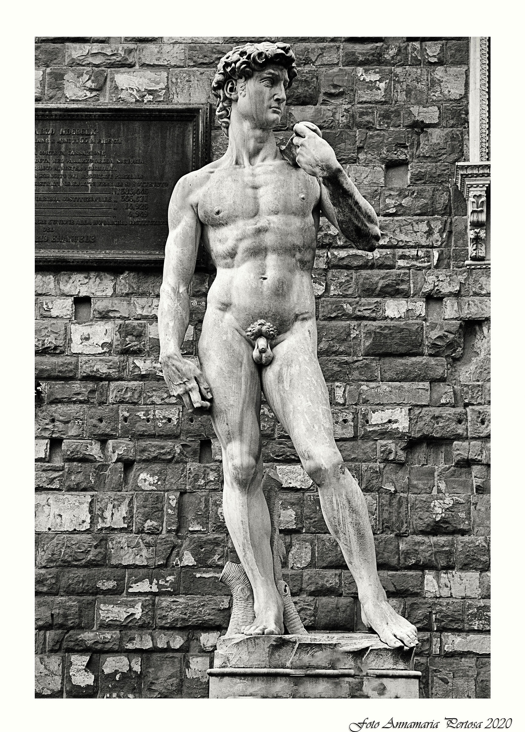 La vera storia del David di Michelangelo...