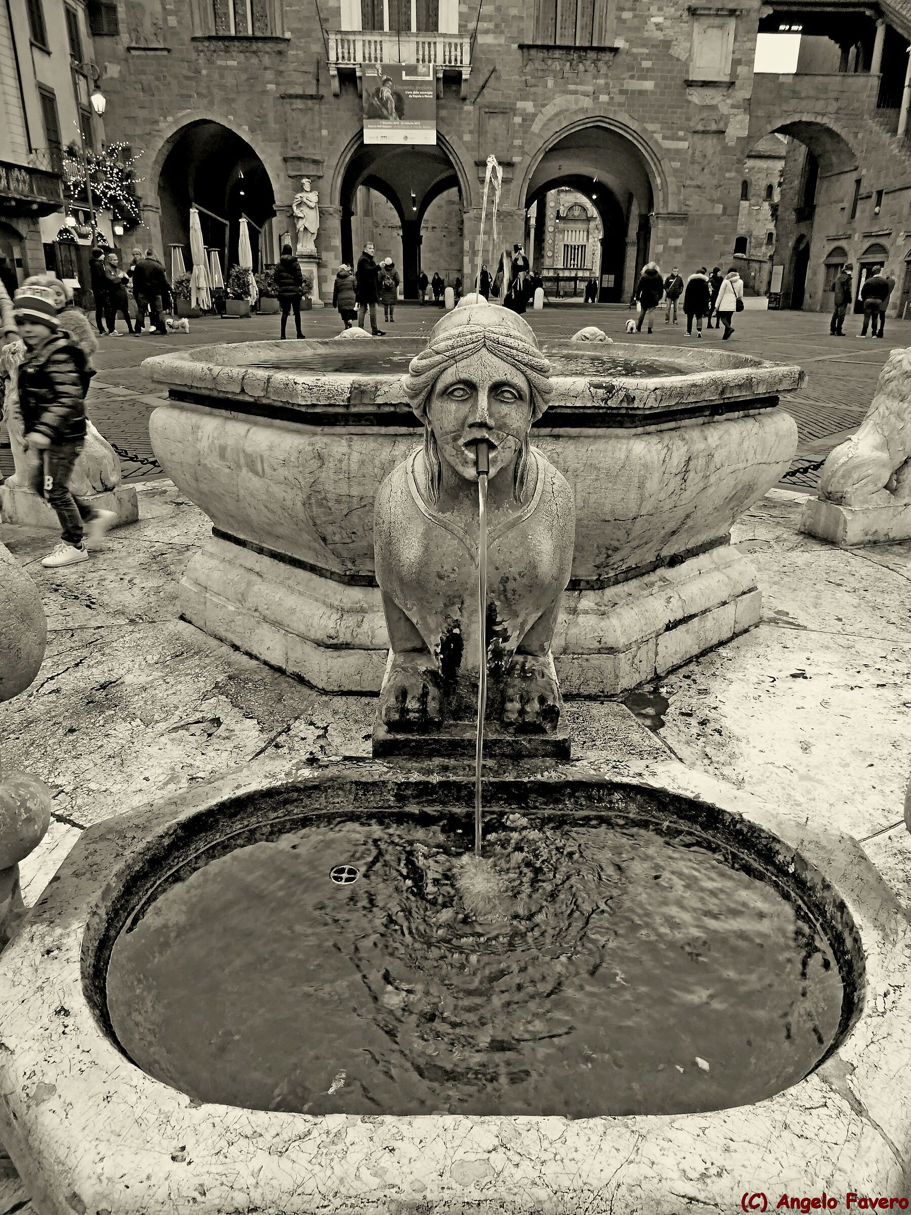  Bergamo - fountain of old square...