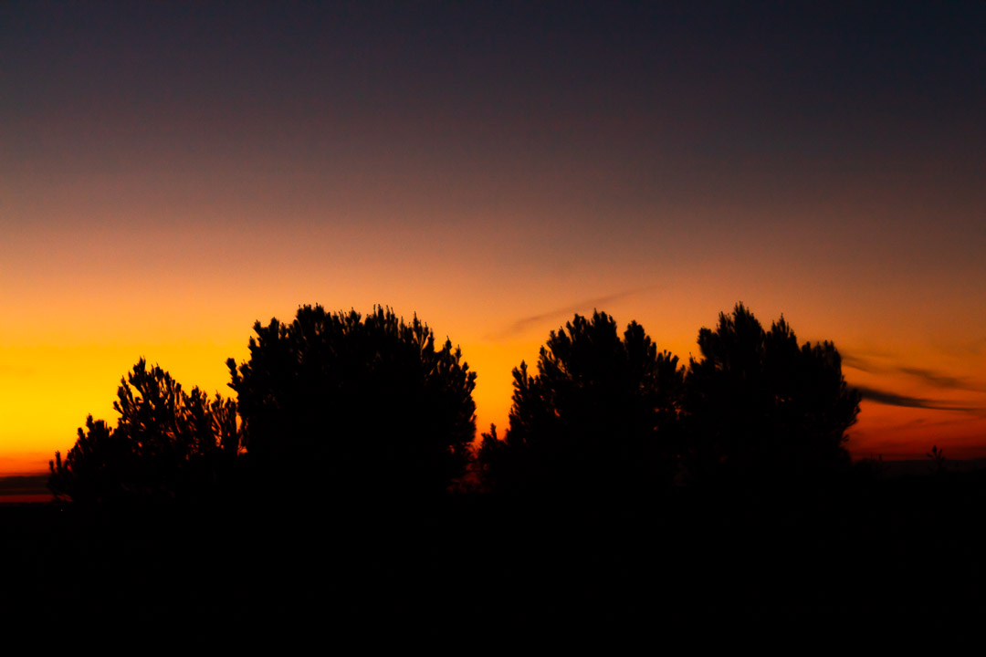 Tramonto sui pini...