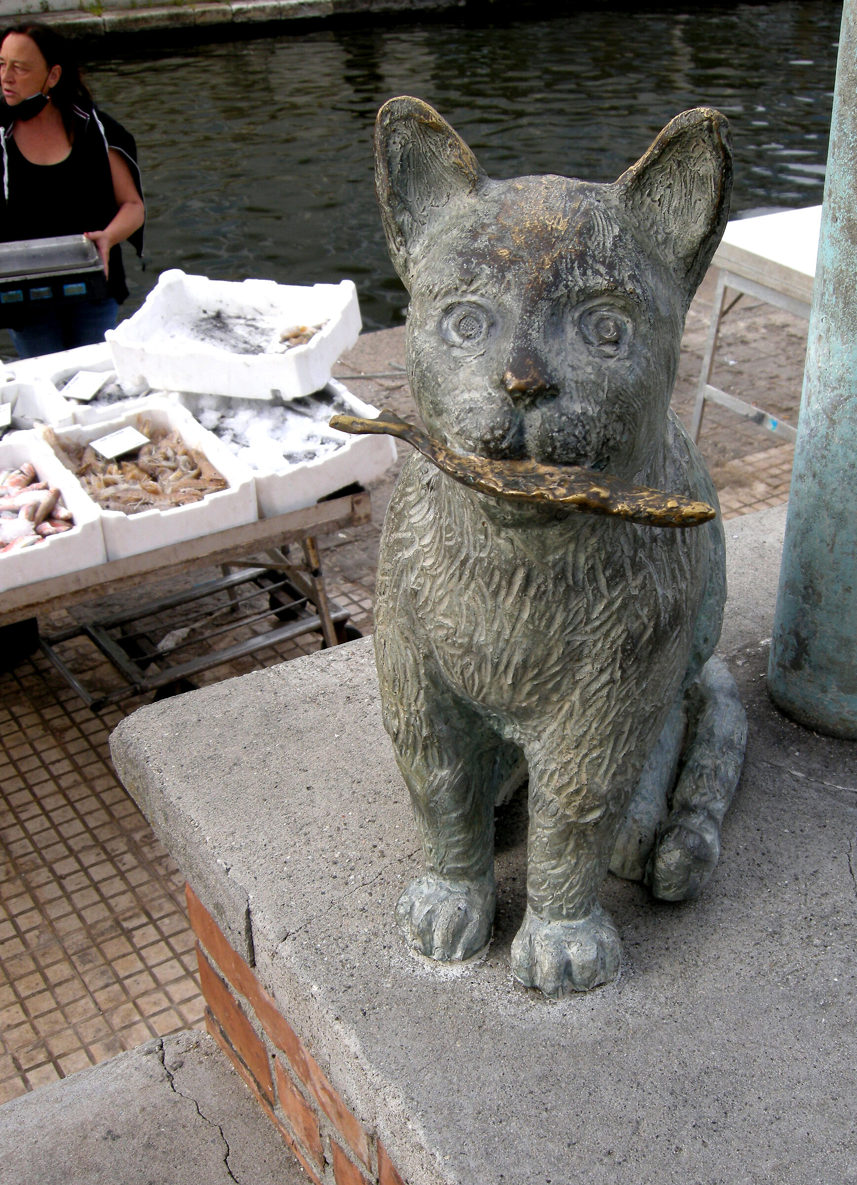 Hector the Fisherman's Cat...