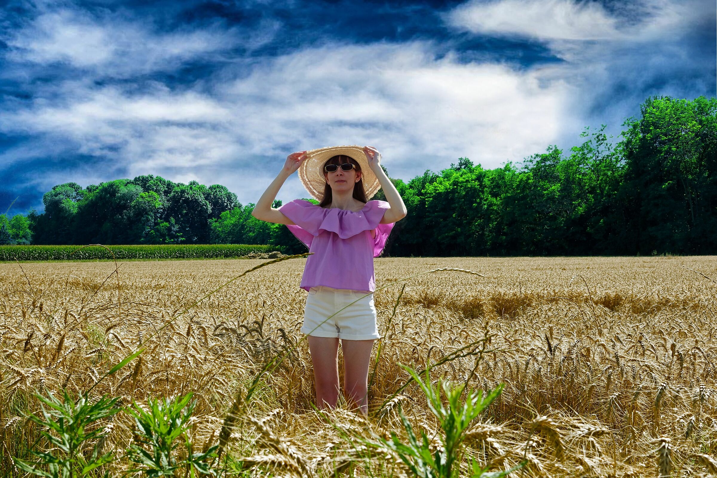 Wheat Fields, Carol...