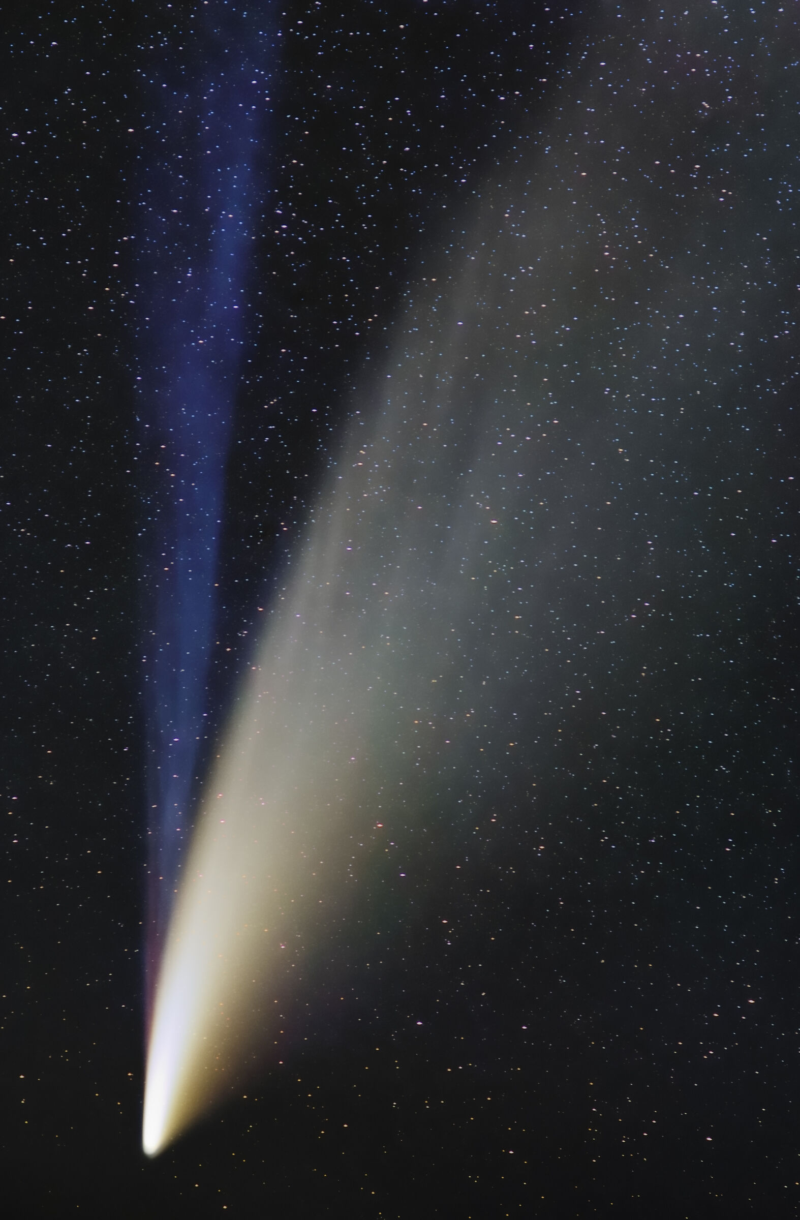 Comet neowise and its tails...