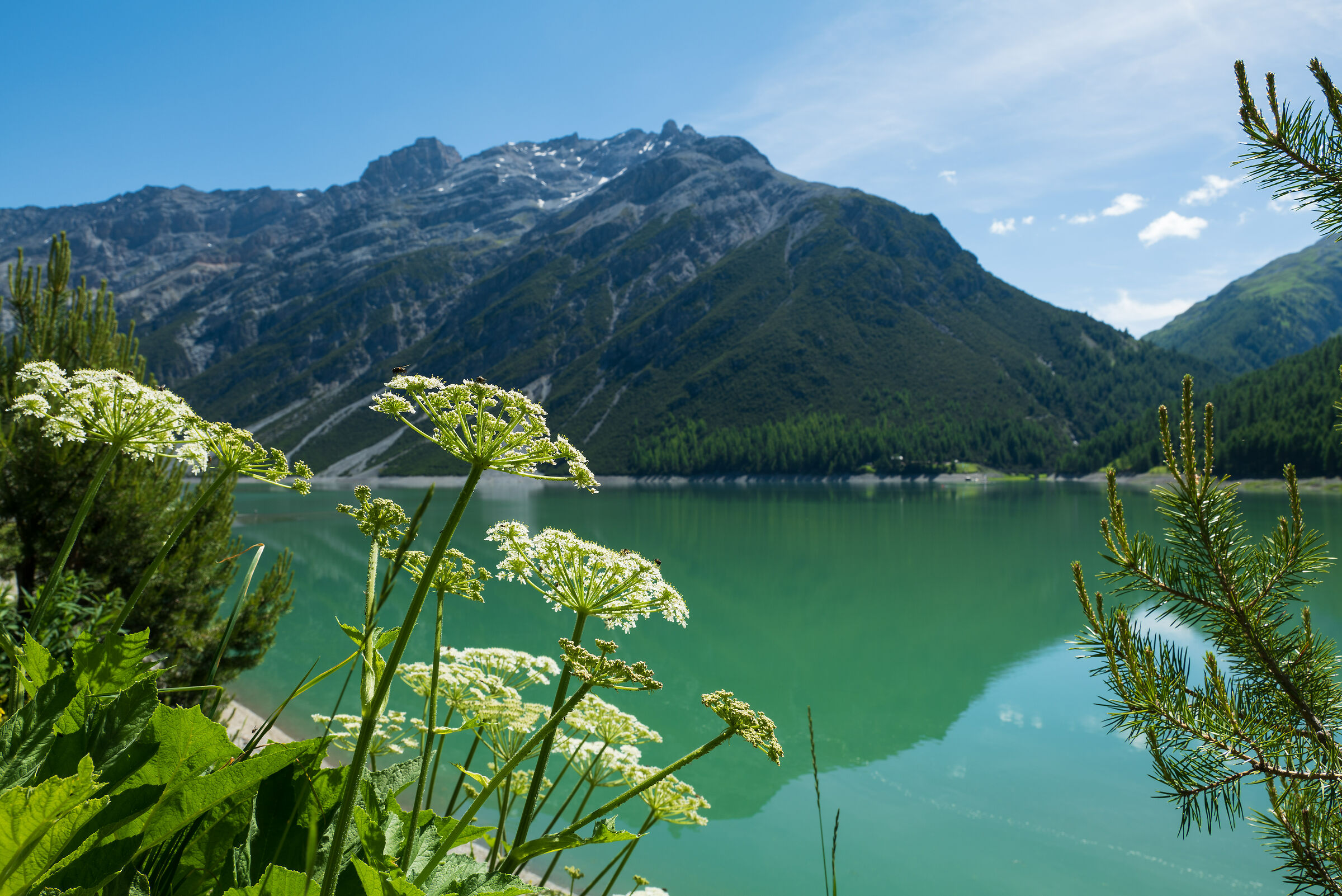 Lago di Livigno...