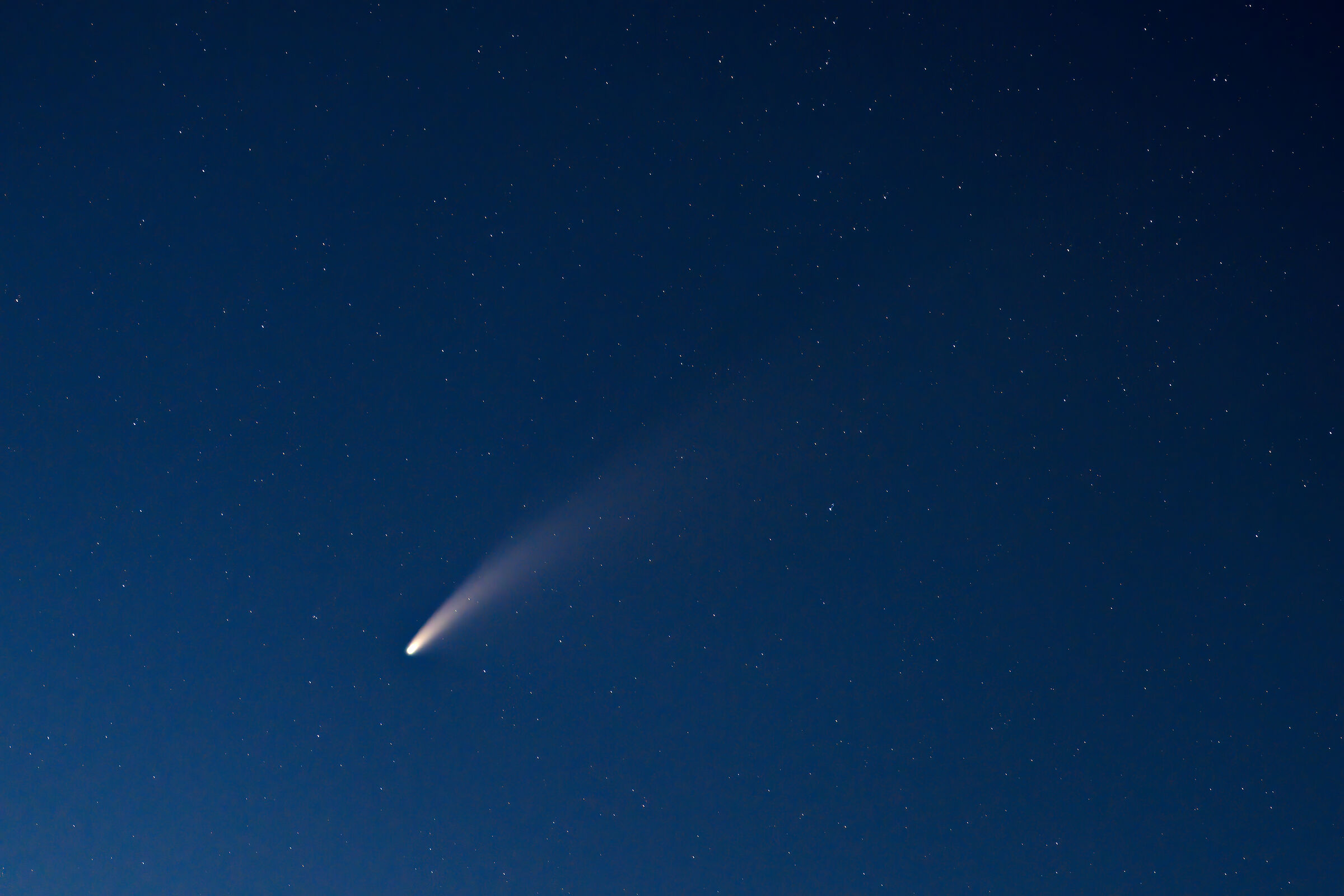 Neowise Comet...