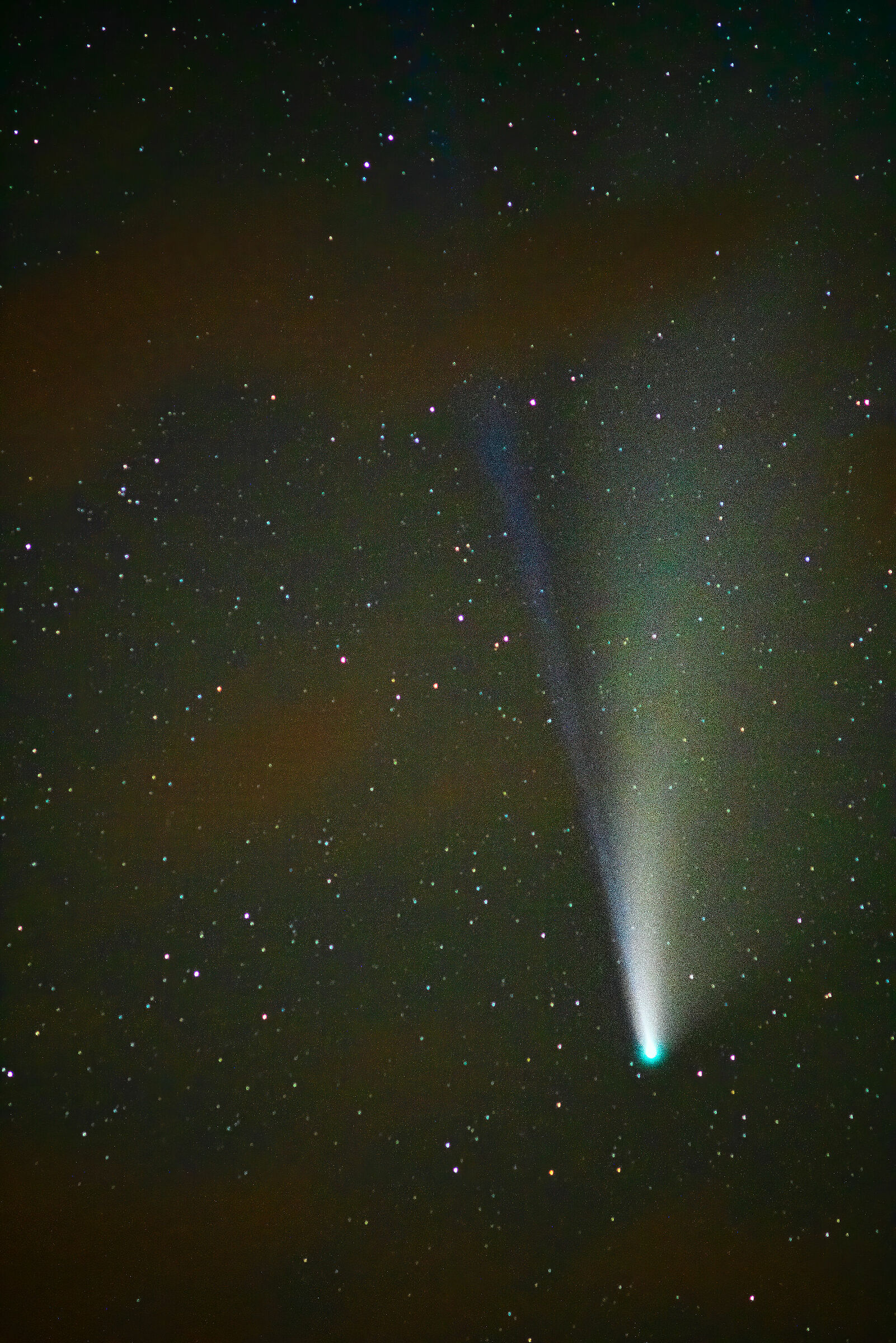 Neowise Comet ...