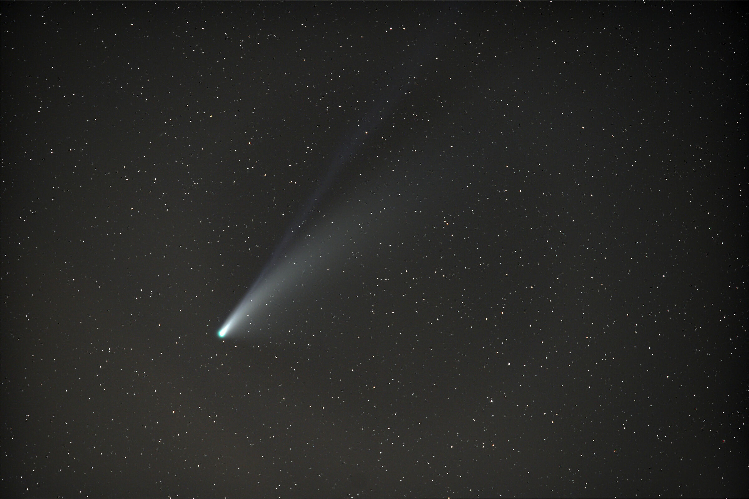 Cometa Neowise del 21/07/2020 6m di posa...