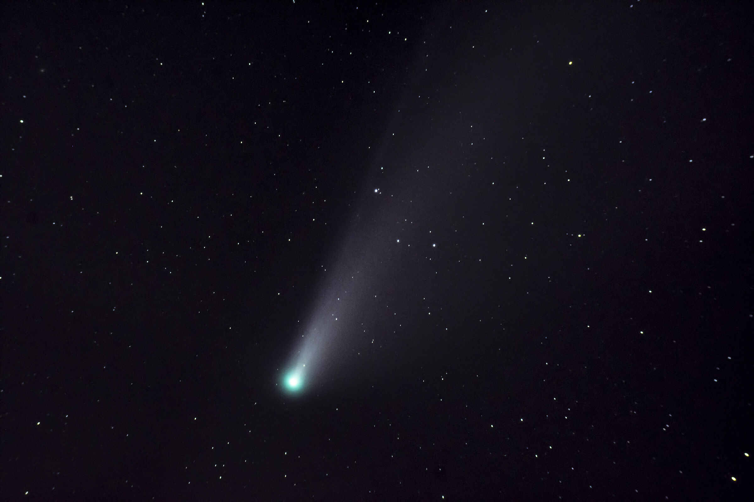 Neowise Comet ...