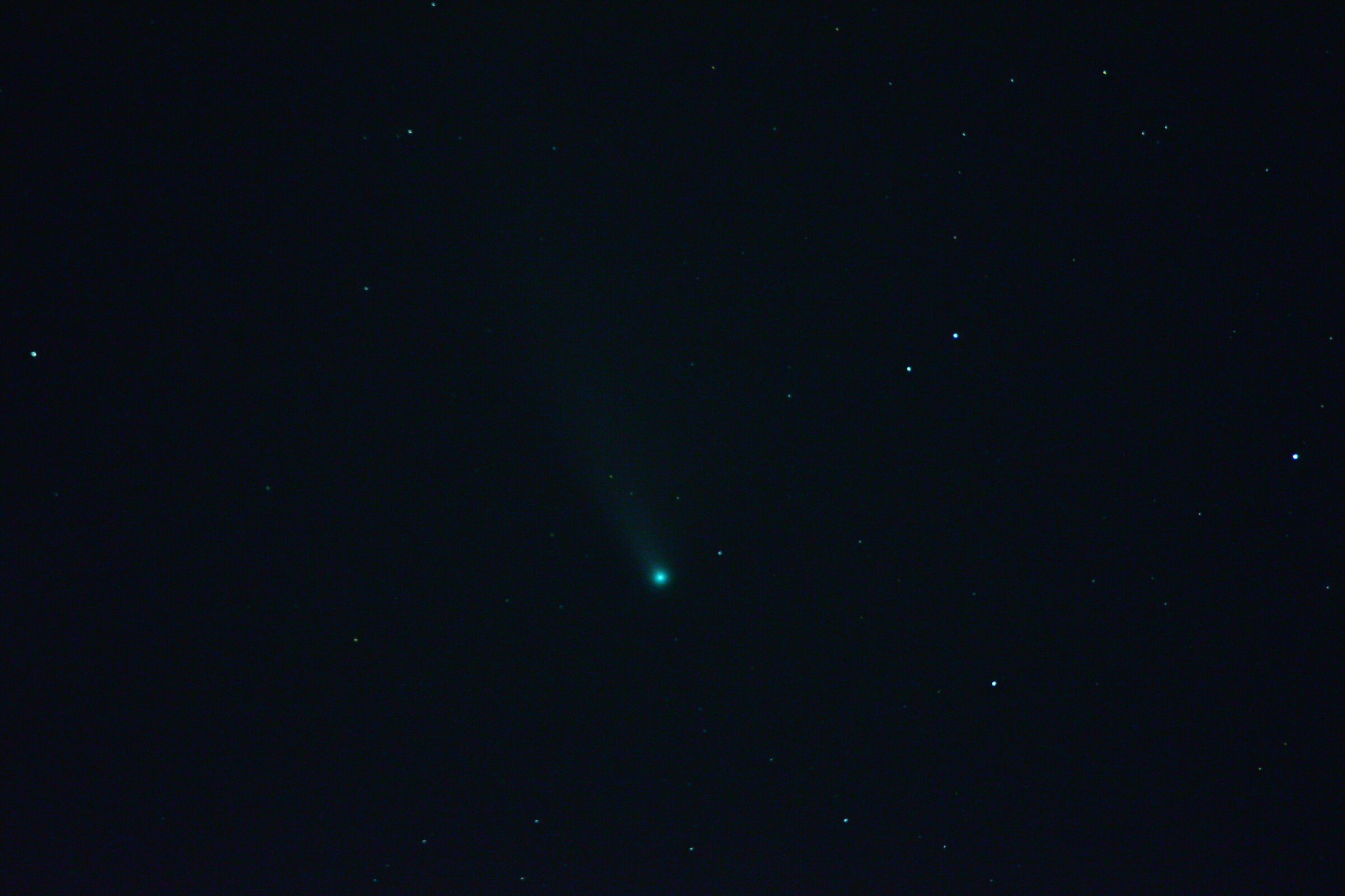 neowise comet...