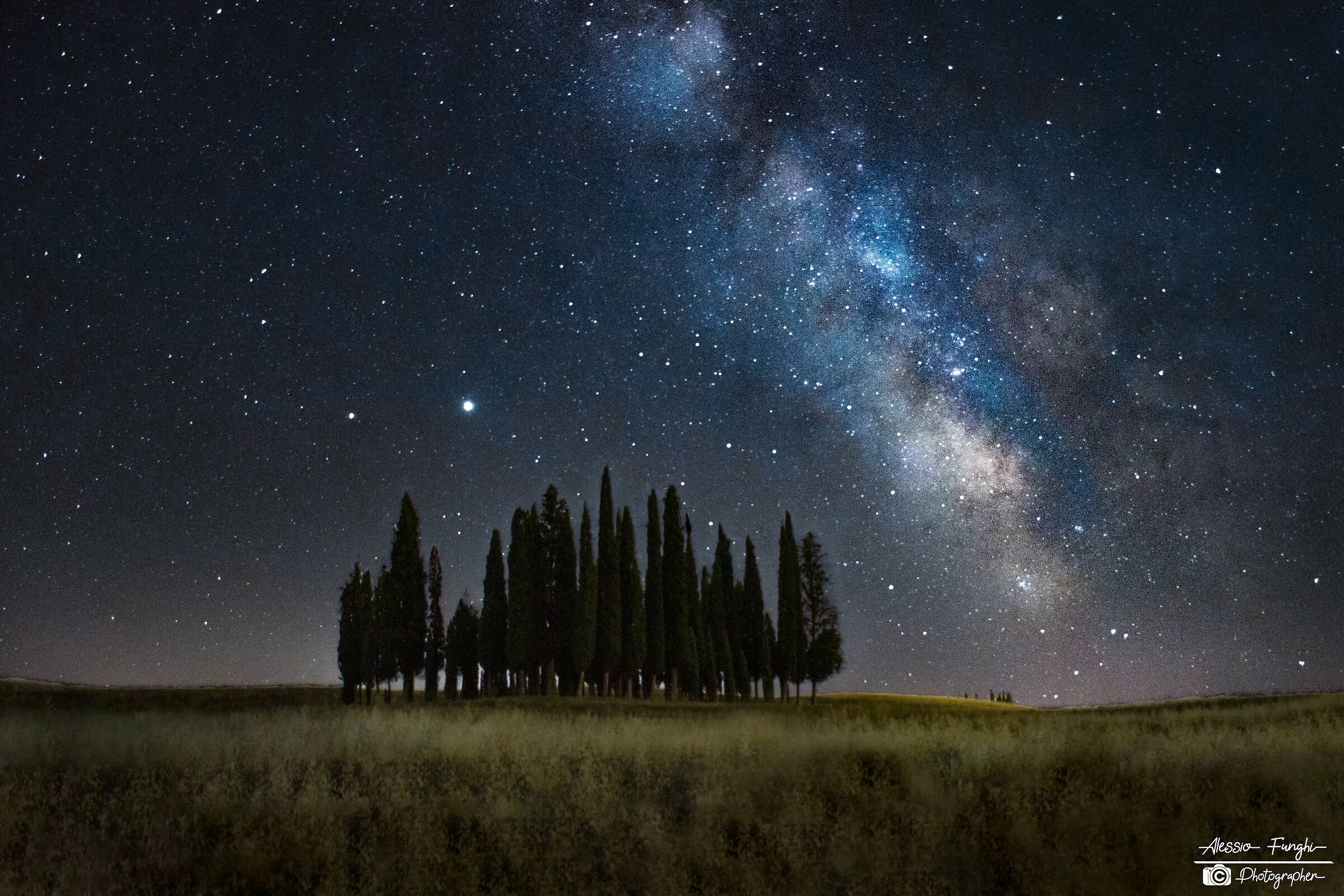 Cypress Val D'Orcia...