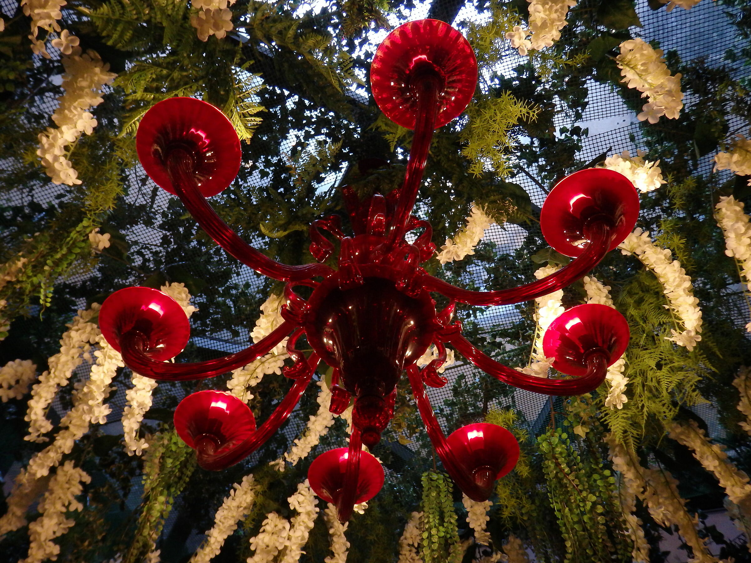 The Red Chandelier...