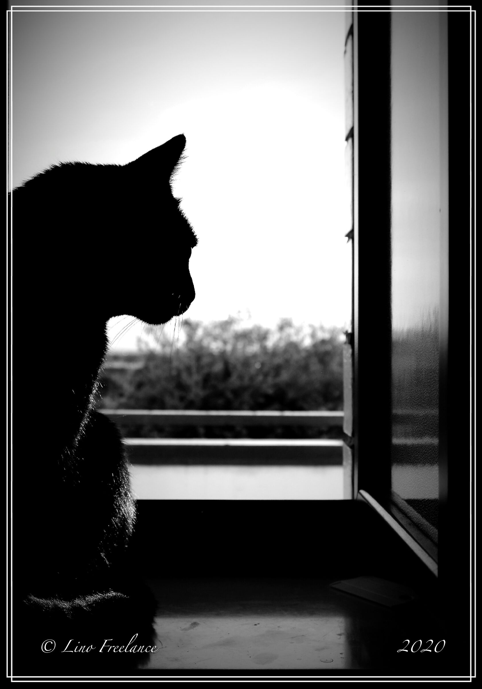 At the window waiting for some guests......