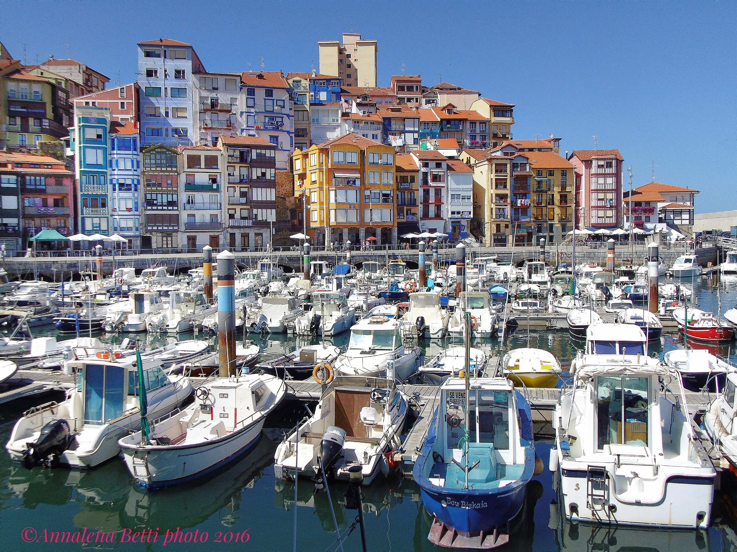 Bermeo's marina...