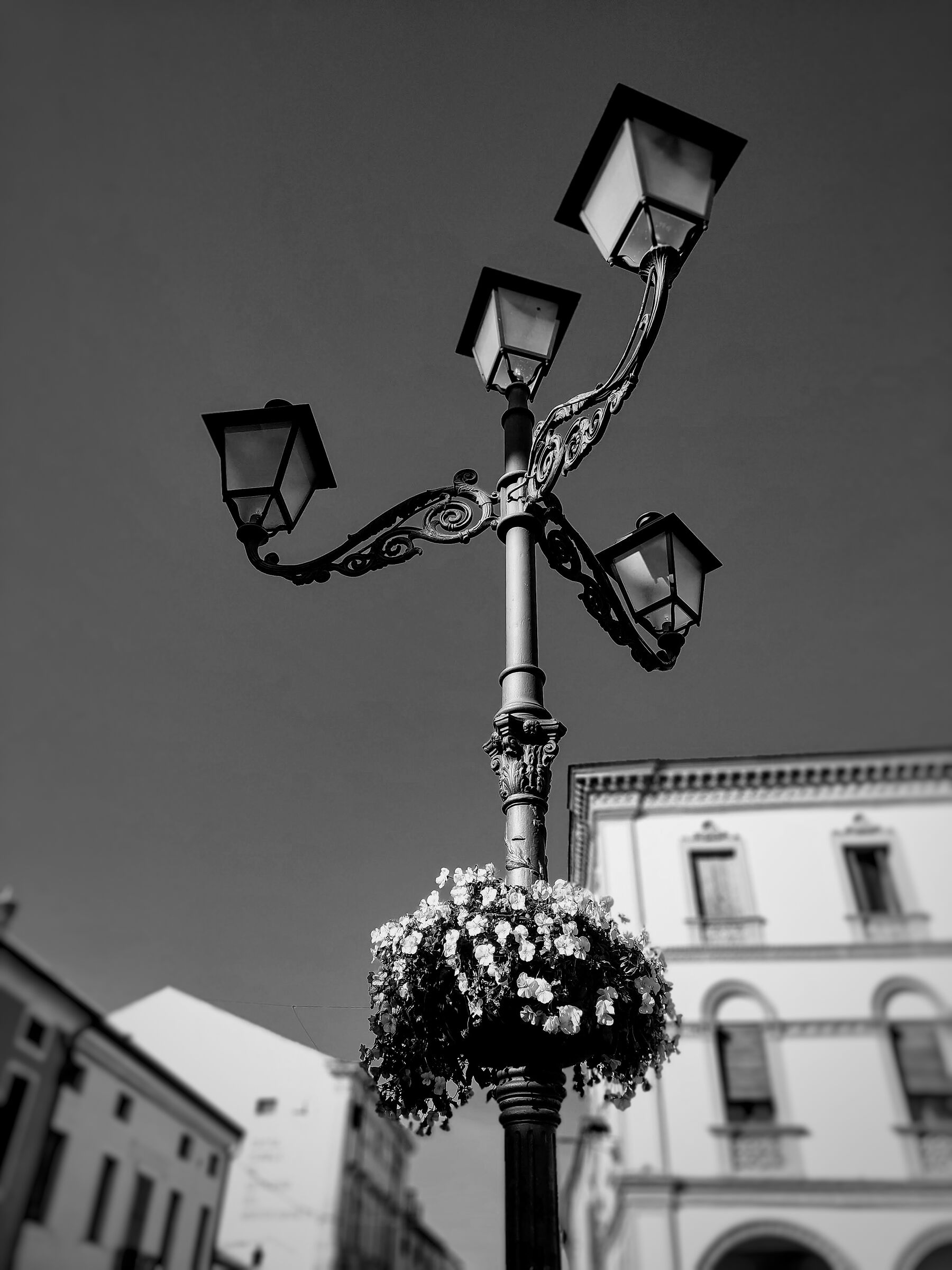 B/W Street Lamp with flower...
