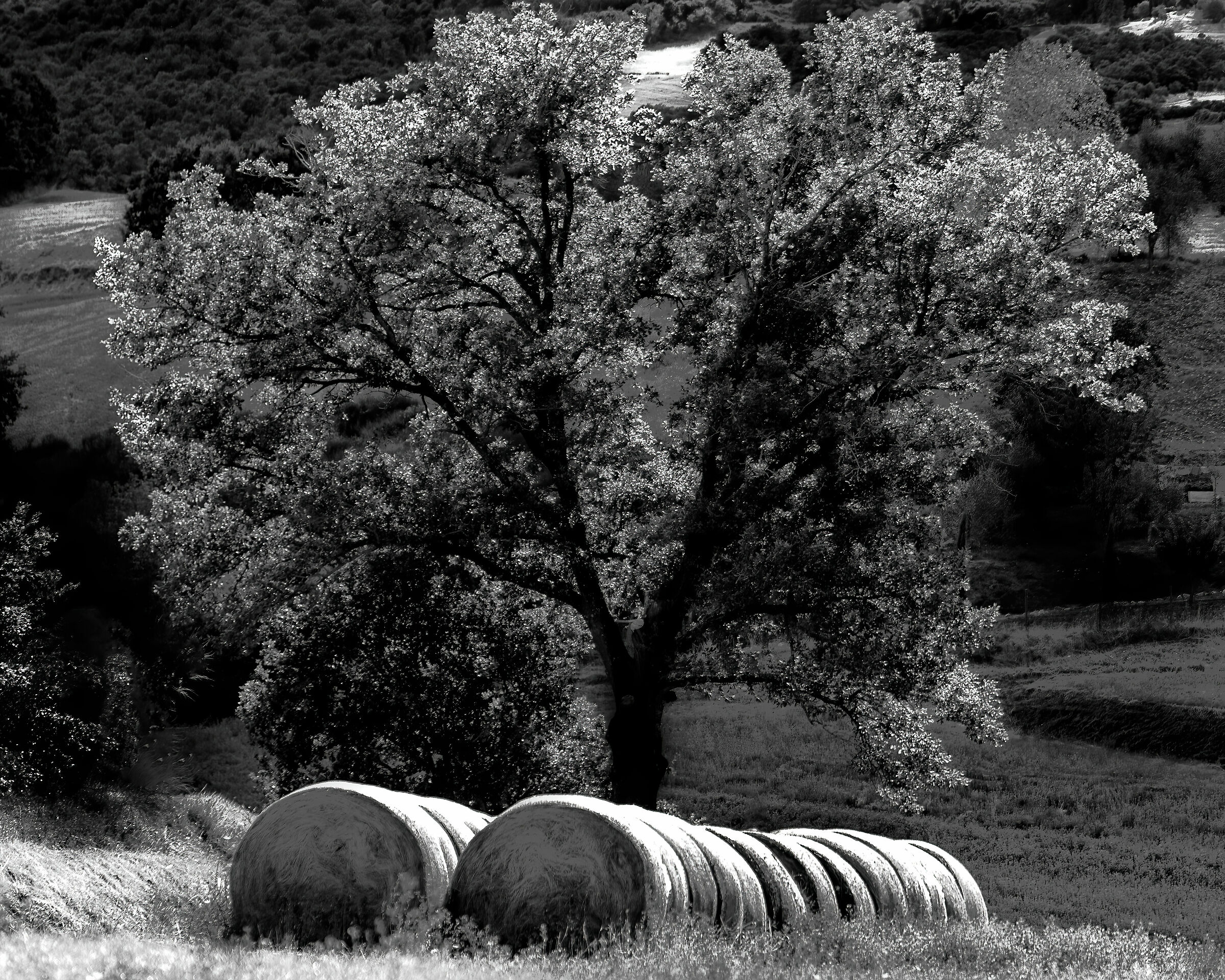 Tuscan countryside 6...