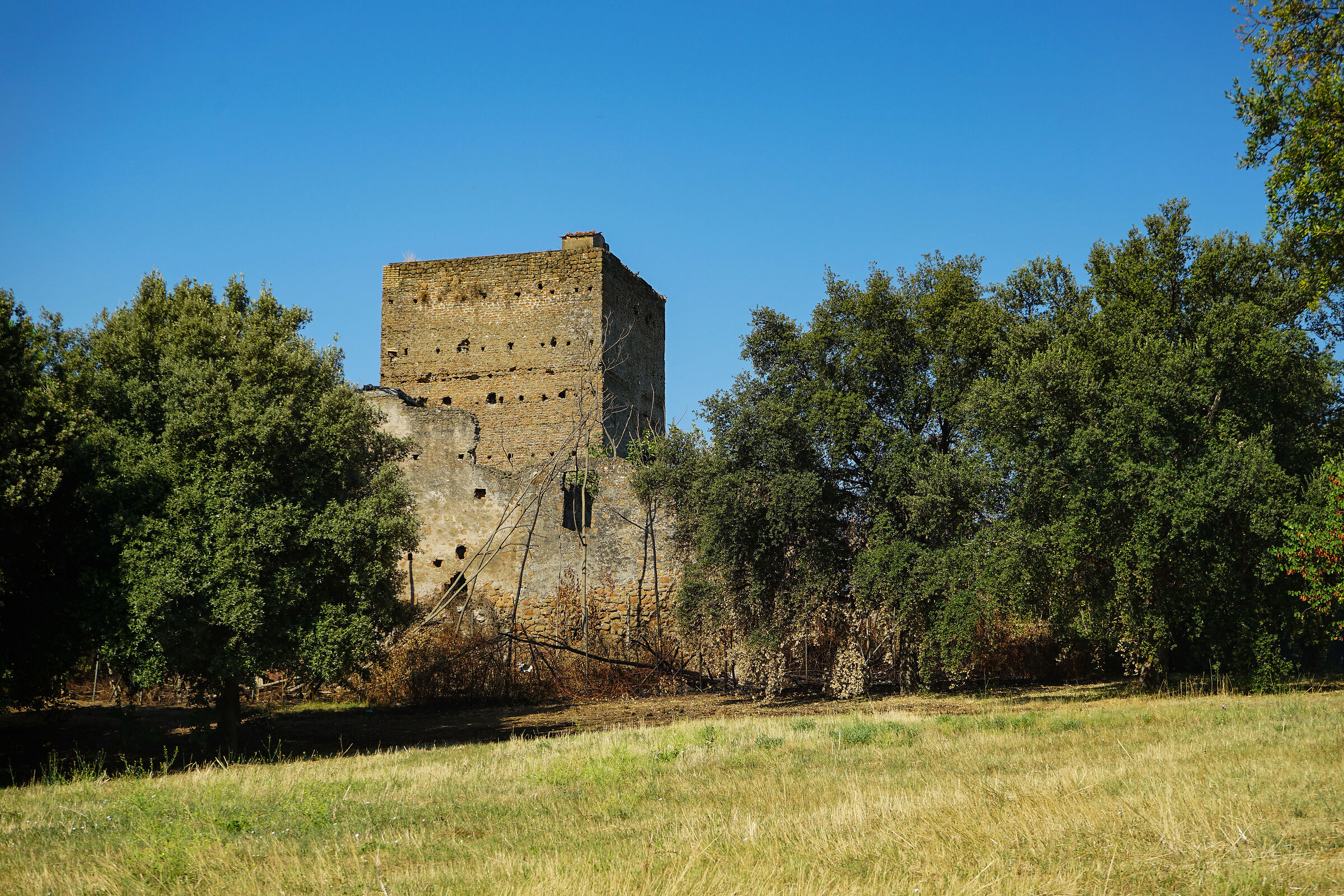 Tower of the ruins of House Calda ( 2 )...