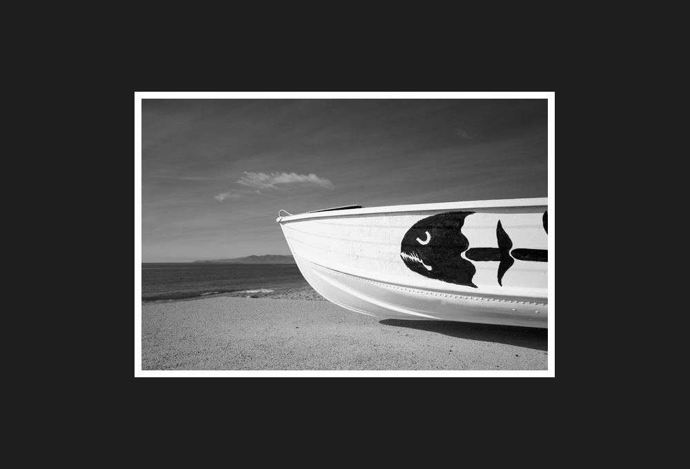 boat with fishbone, 2017...