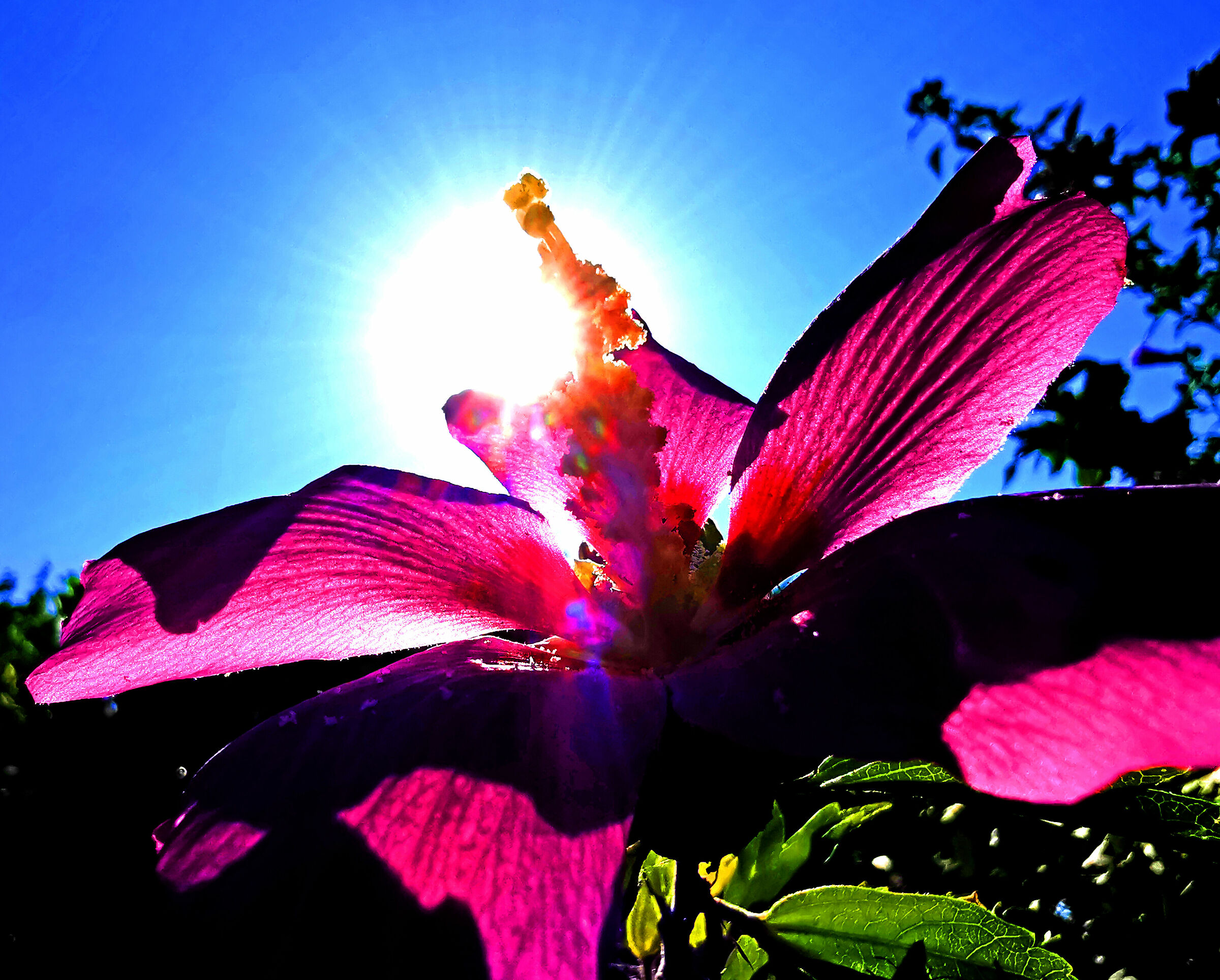 in the sun...