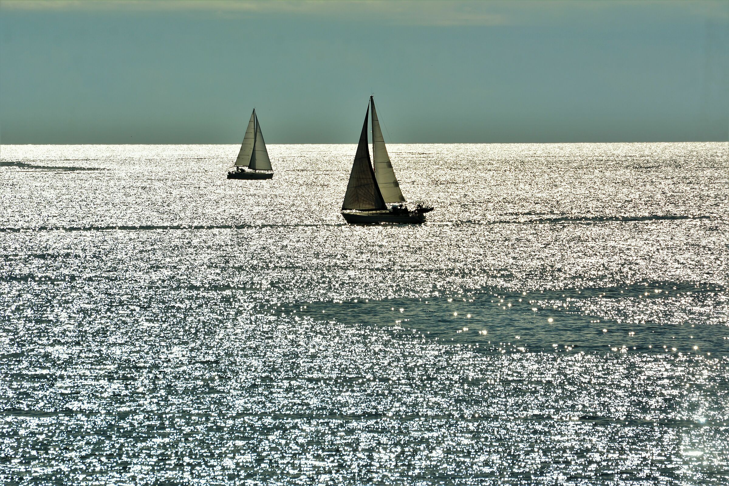 Sailing with pleasure...