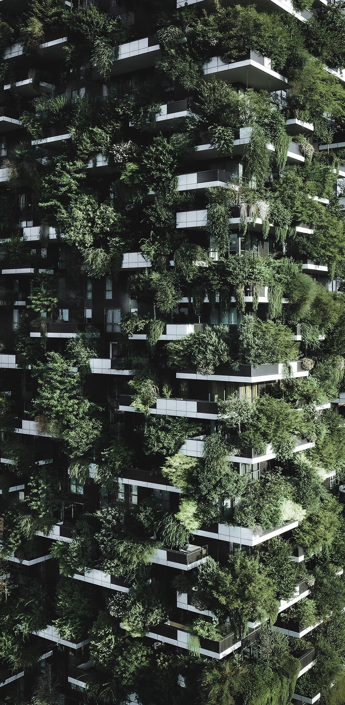 Vertical Forest...