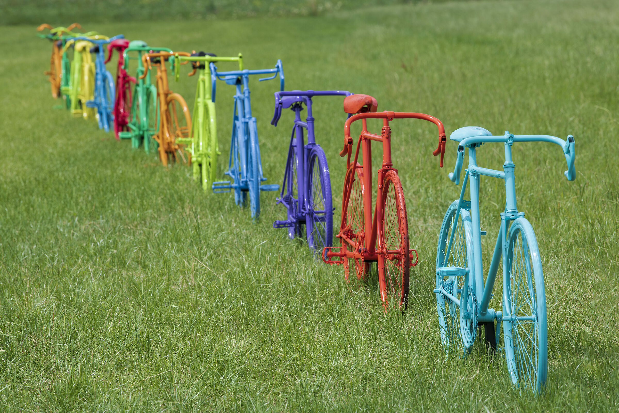 Una pedalata nel colore...