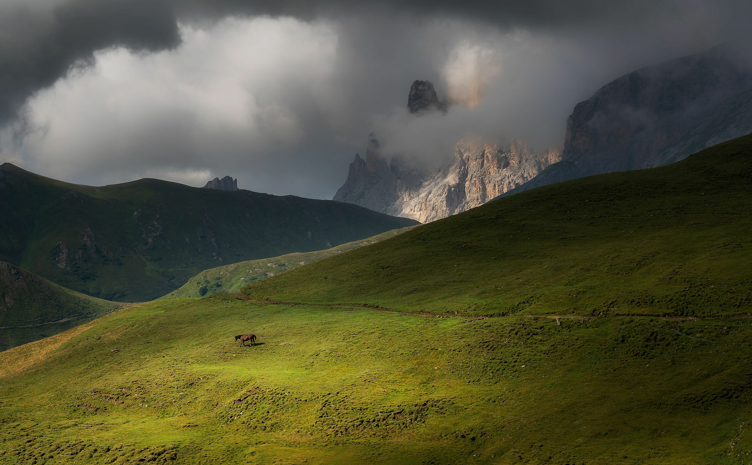 Lonely horse in the Dolomites...