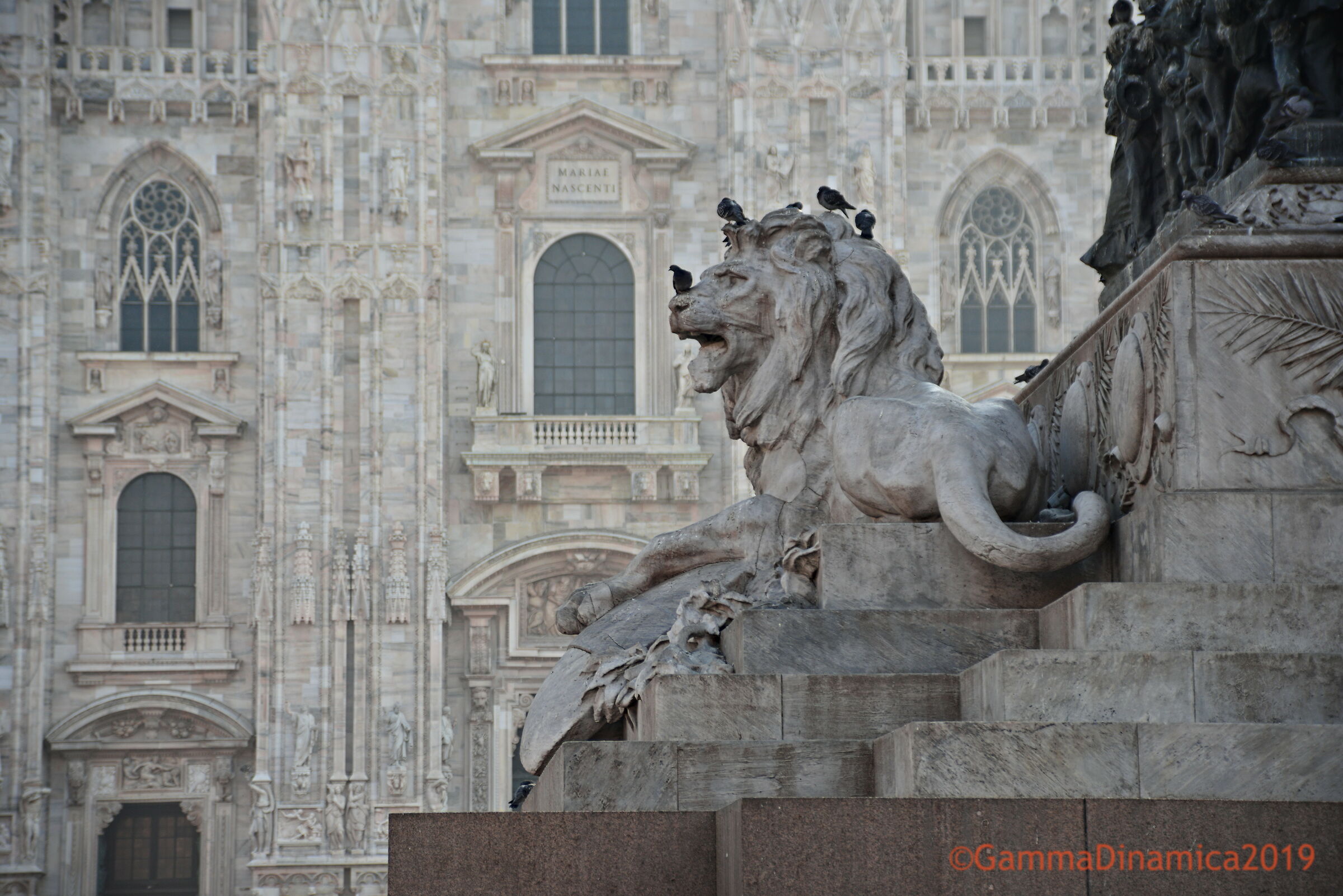 Piazza del Duomo - dettaglio...