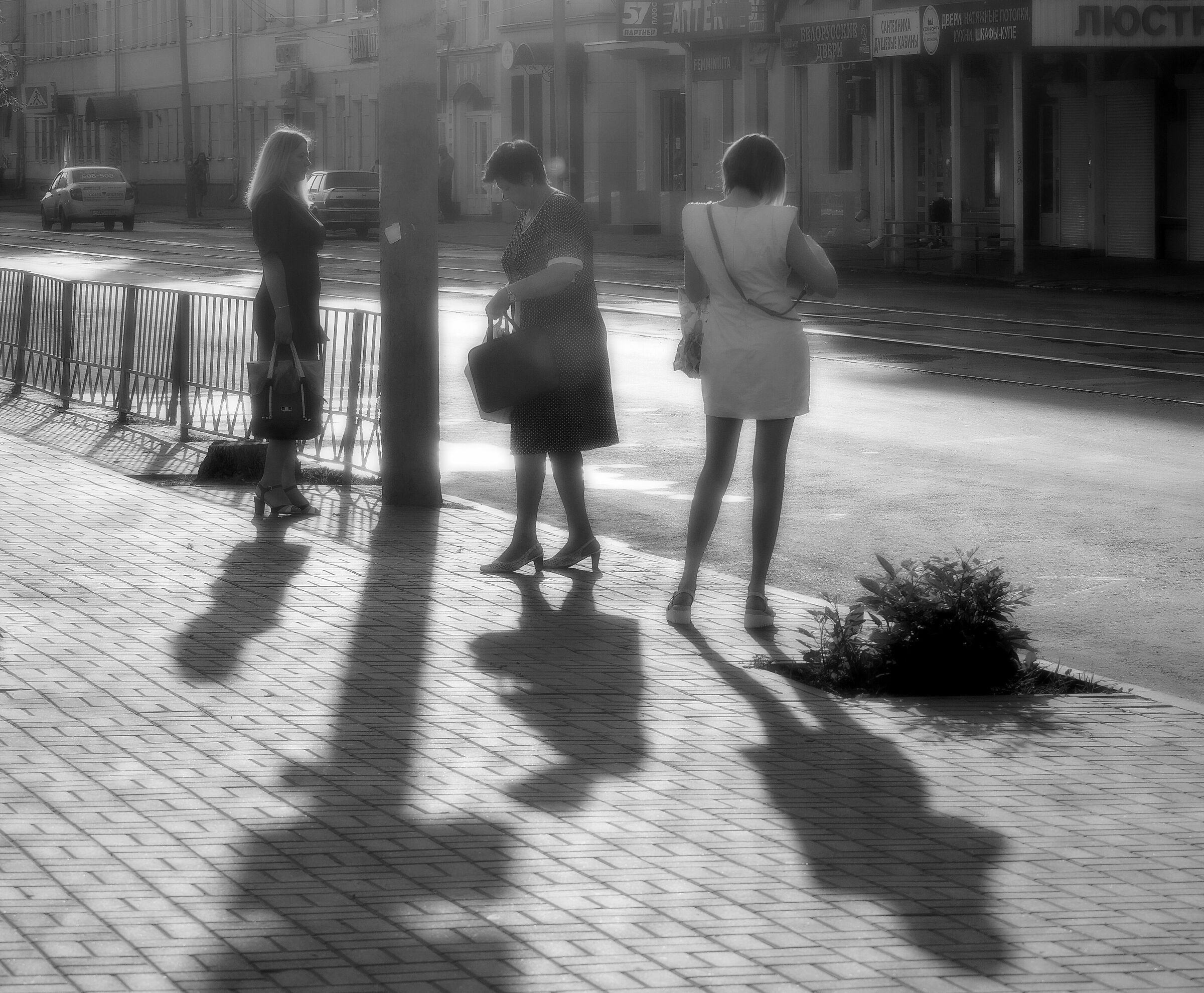 Morning Shadows in the Street***...