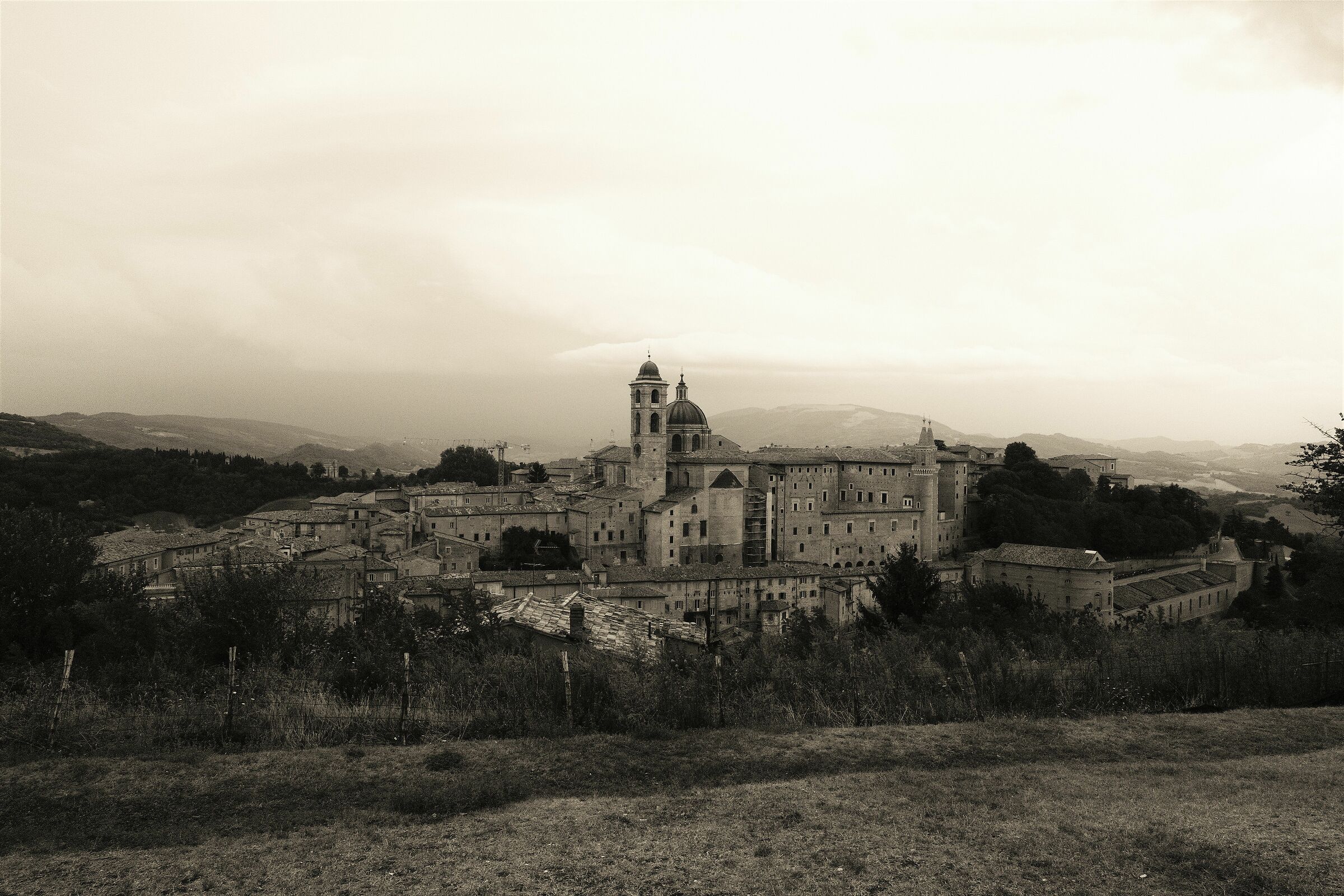 Urbino at your fingertips ...