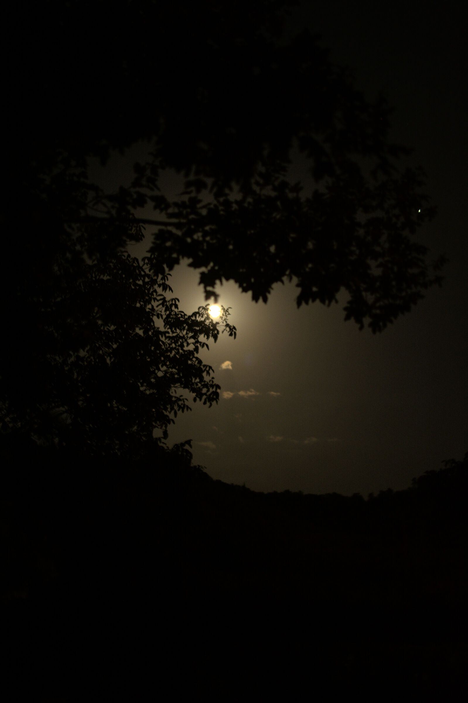 moonlight...