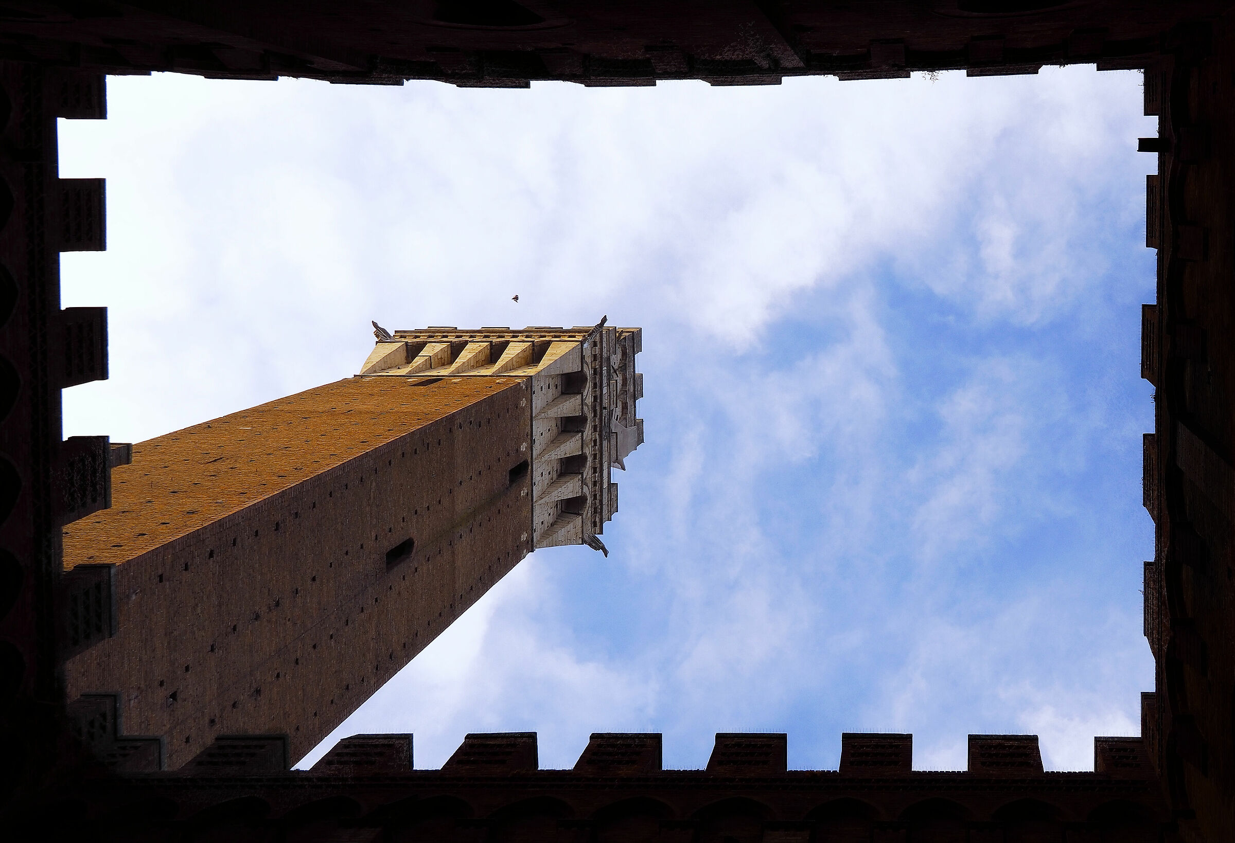 Siena - "francobollo" della Torre del Mangia...