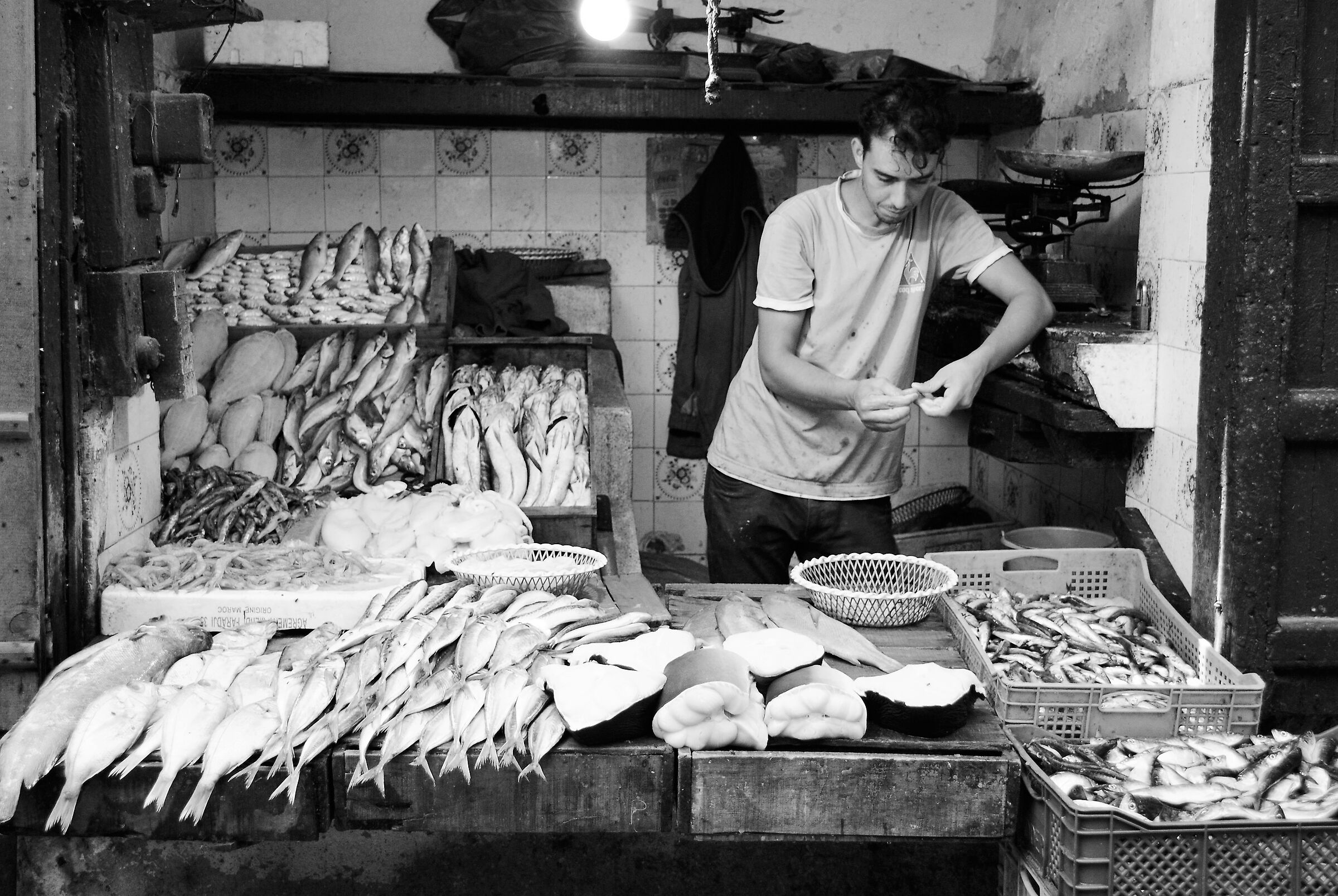 fish market...