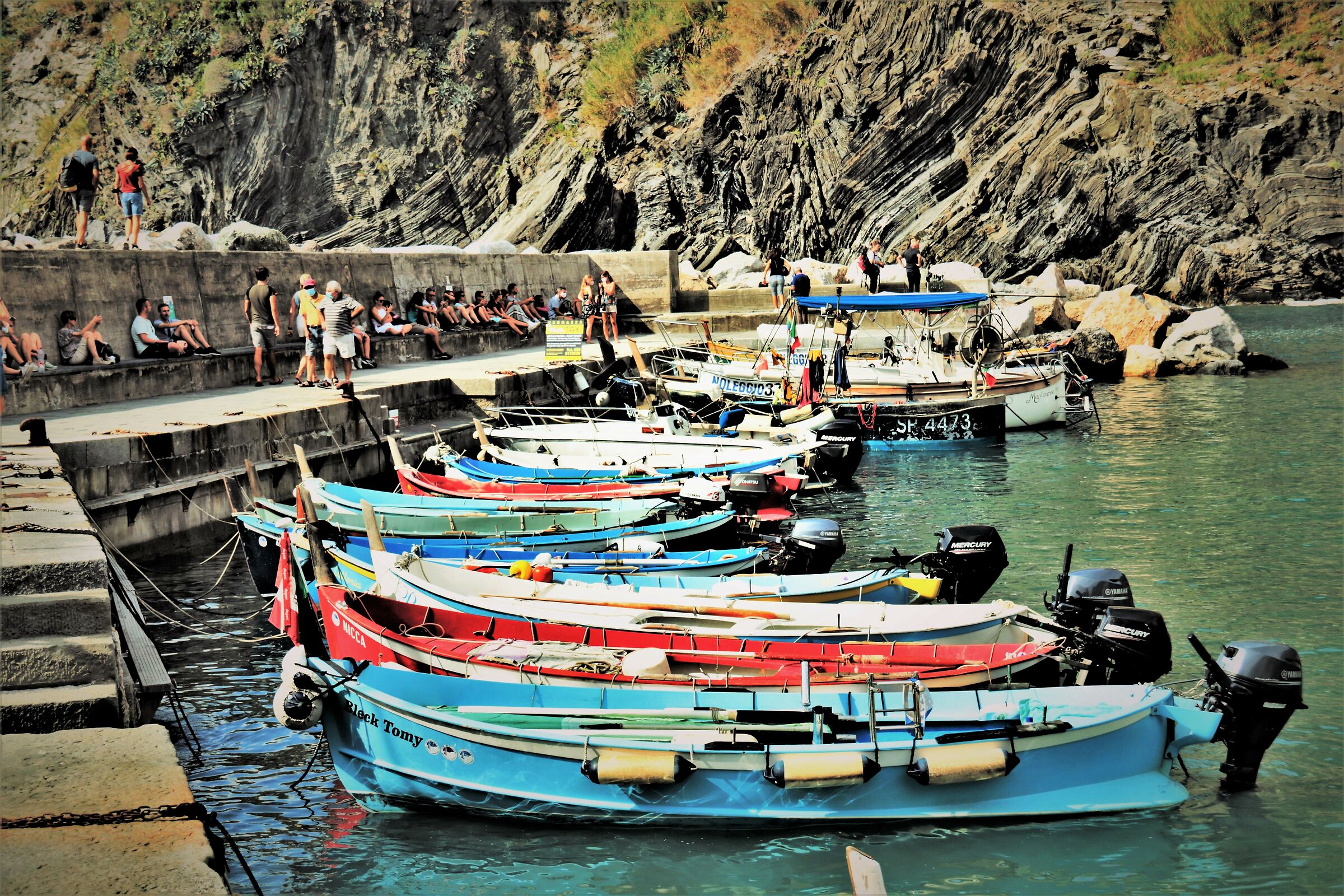 " The privileged in the marina of Vernazza "...