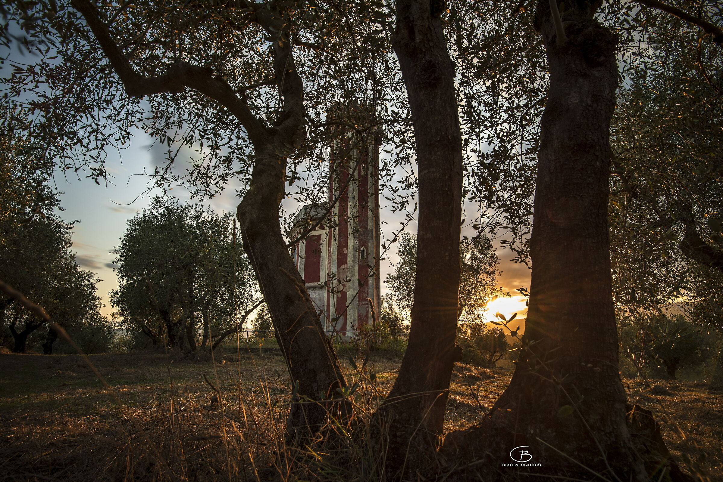 St. Alexios Tower among olive trees...