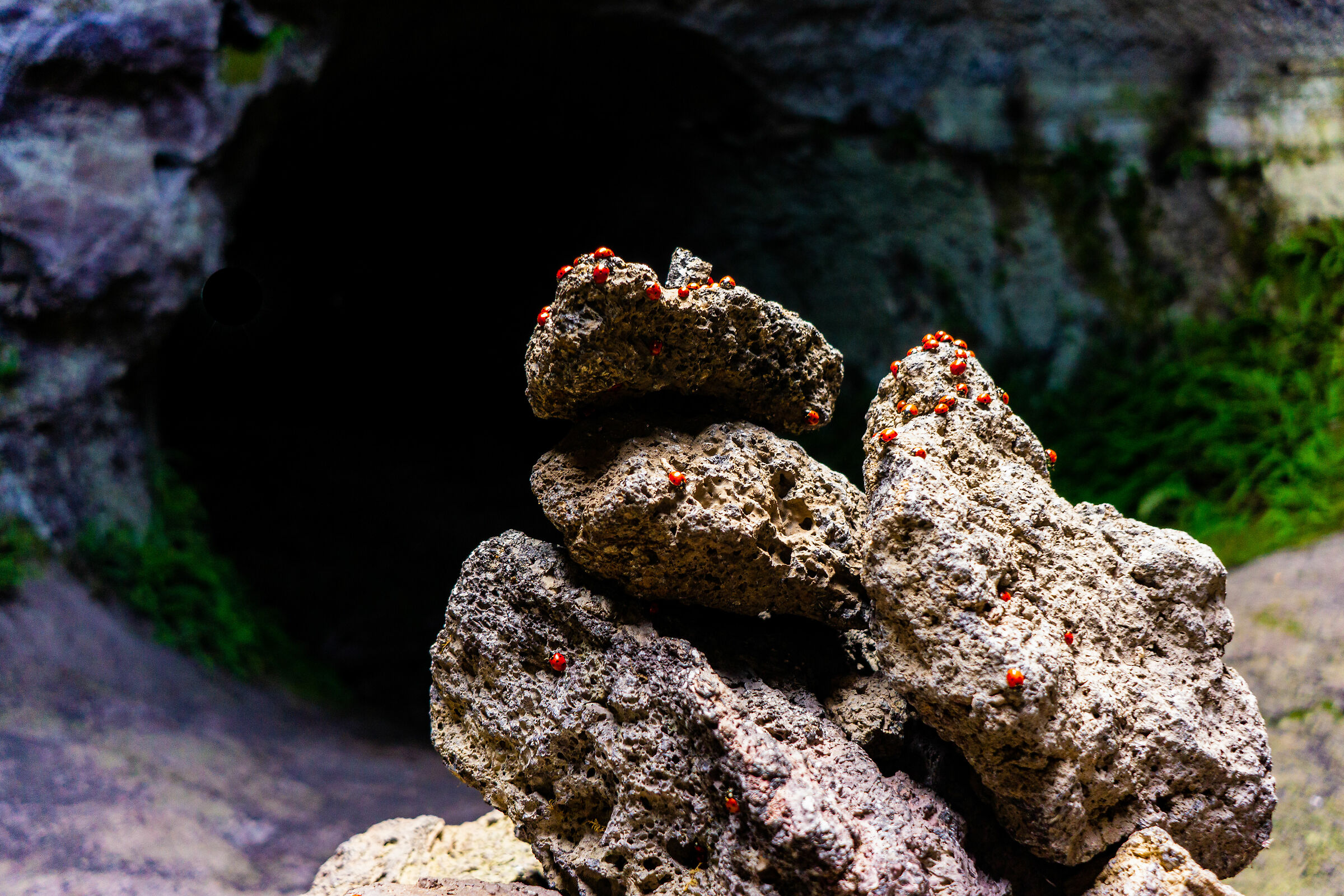 La grotta delle coccinelle - Grotta dei Lamponi, Etna...