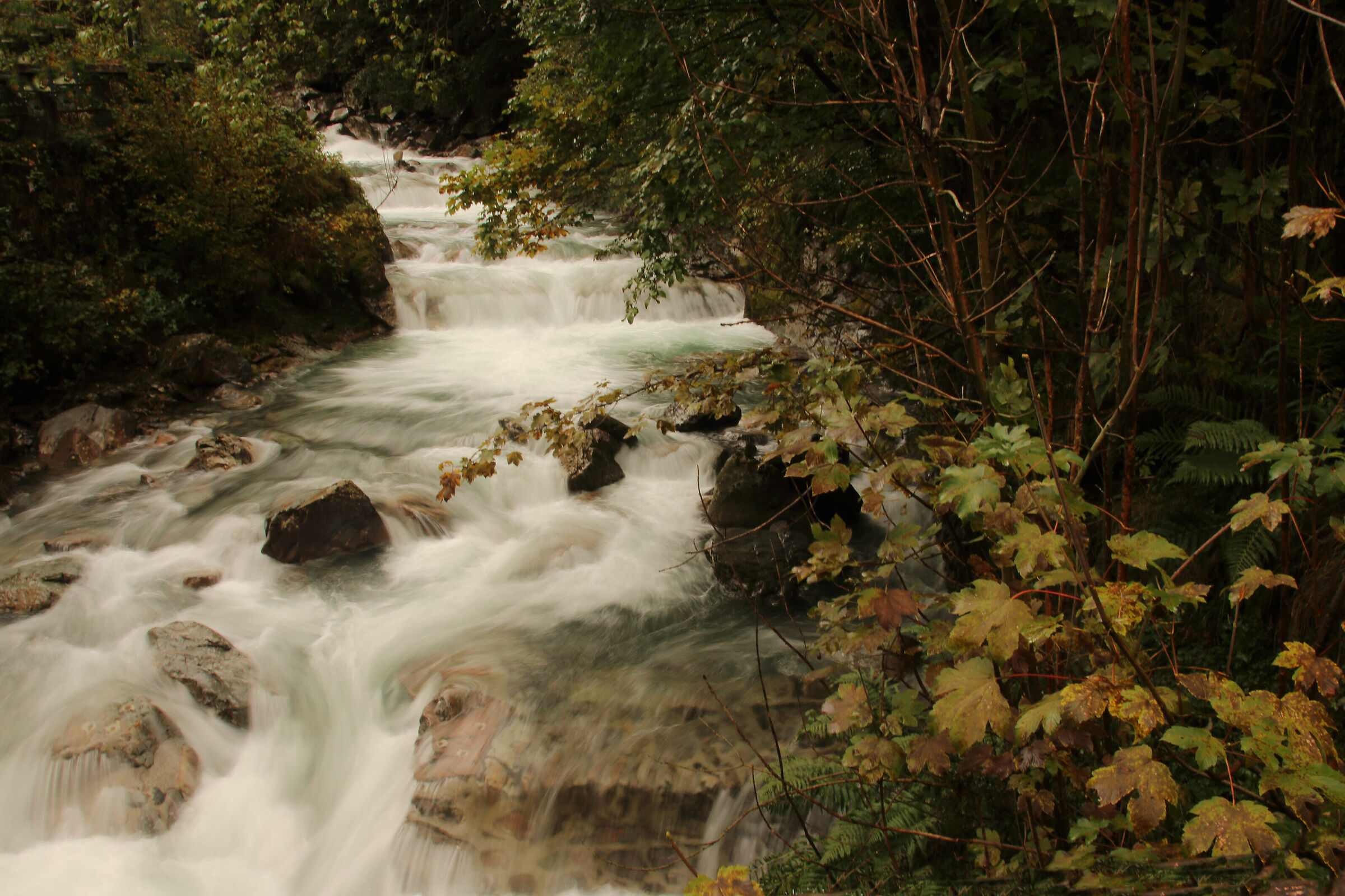 the Serio River (early autumn)...