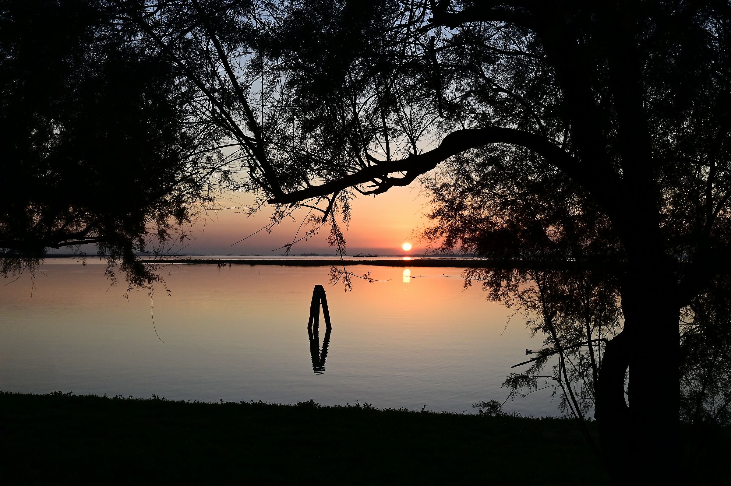 Sunrise in Lagoon...