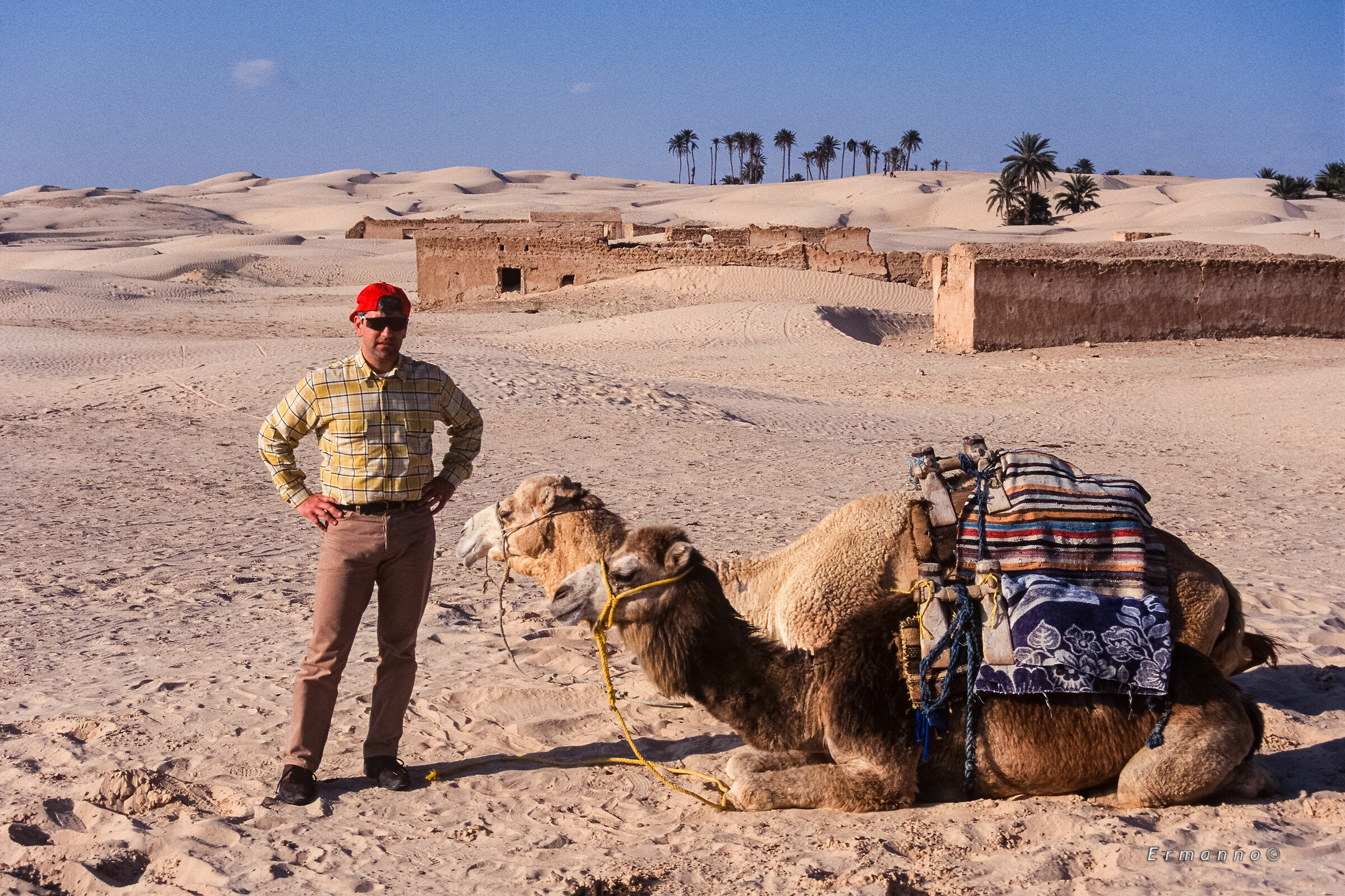 I own me with my Dromedary...