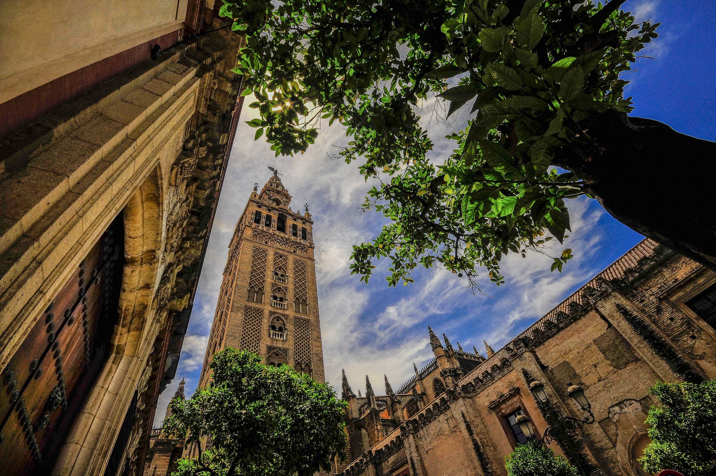 Seville Cathedral...
